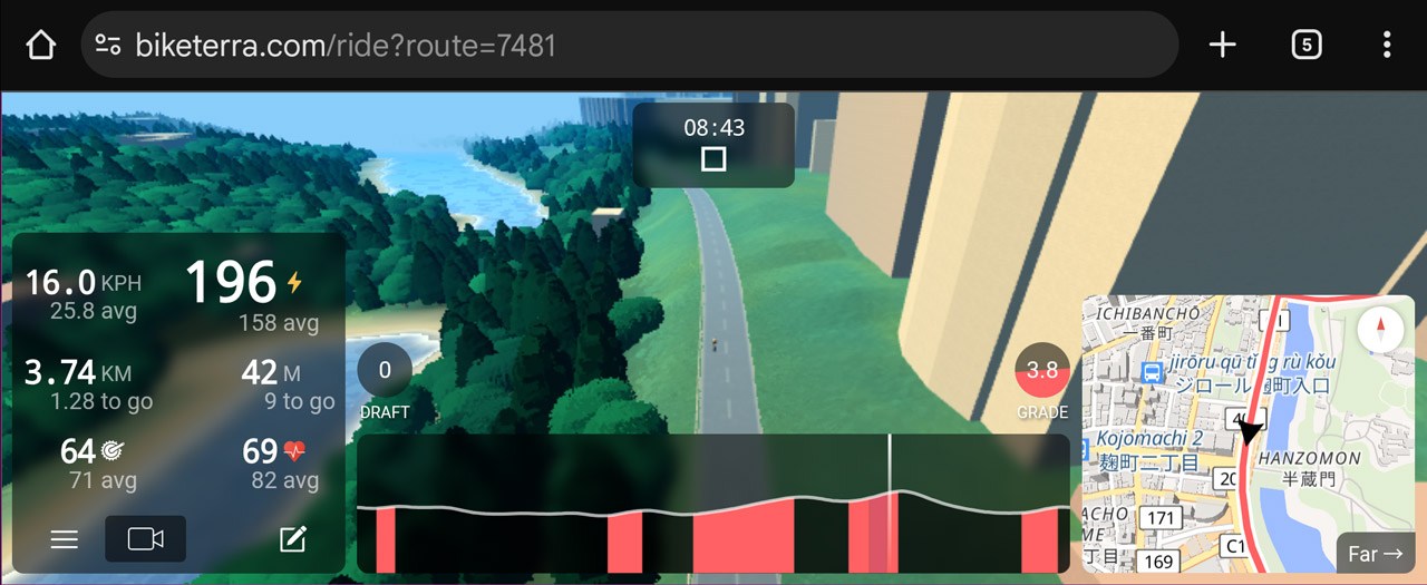 緑の多い皇居周辺ではあるが、なんか違うな～という感じ