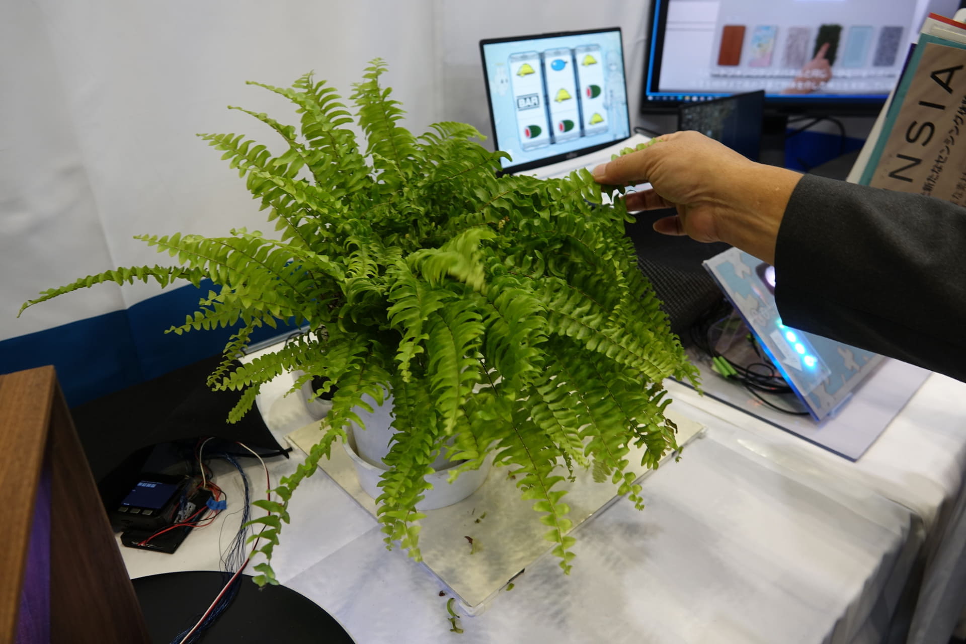 植物をセンサー化