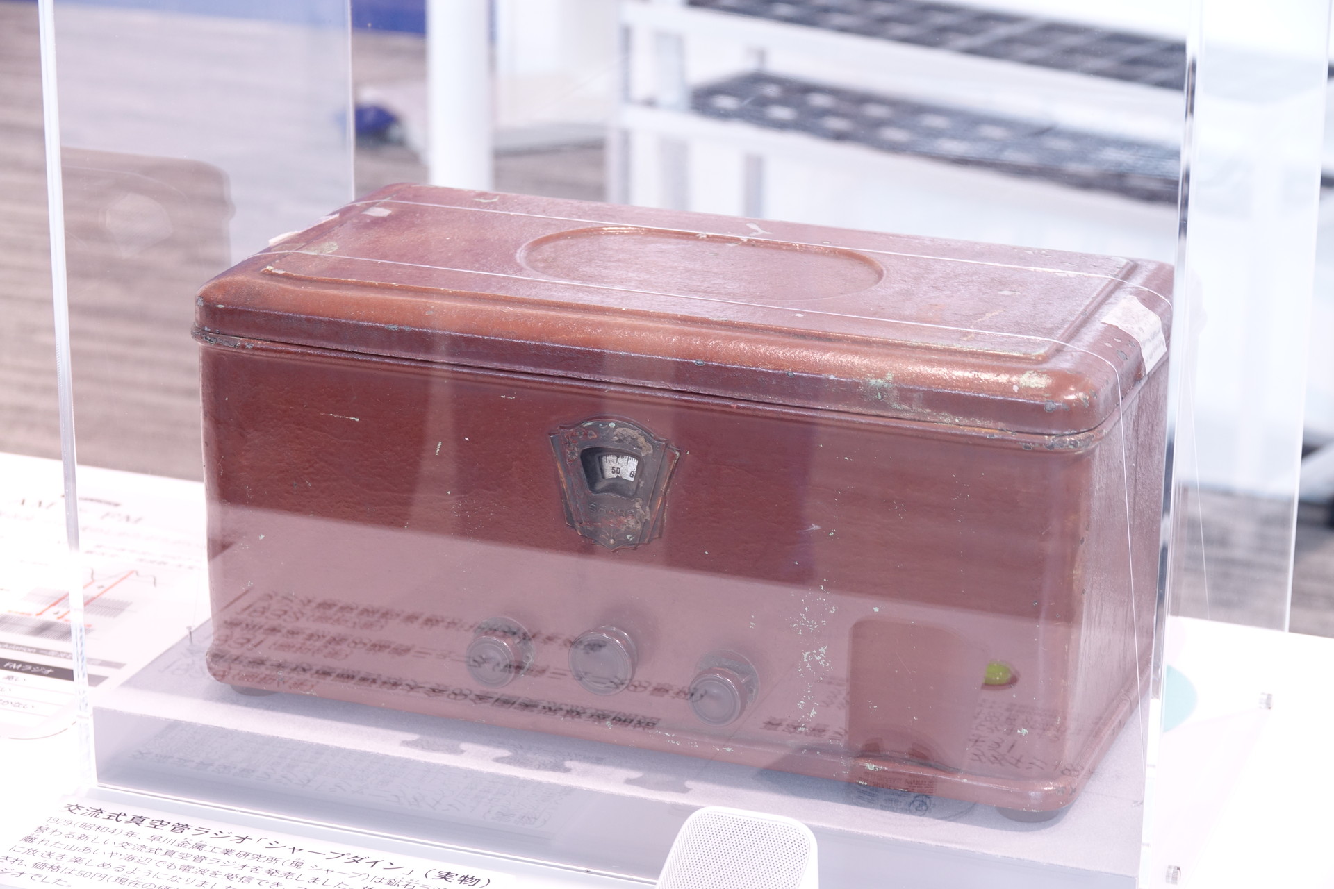 シャープダイン（実物）