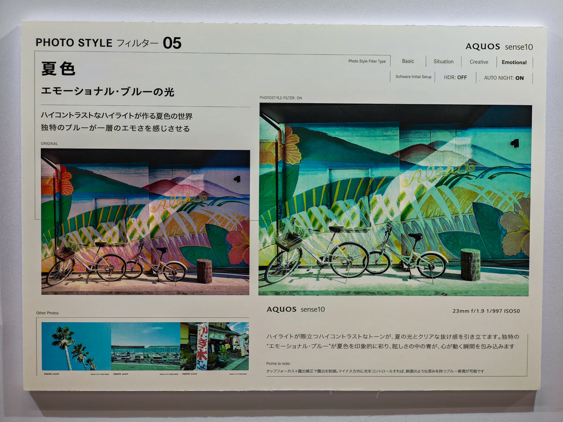 夏色（新規）