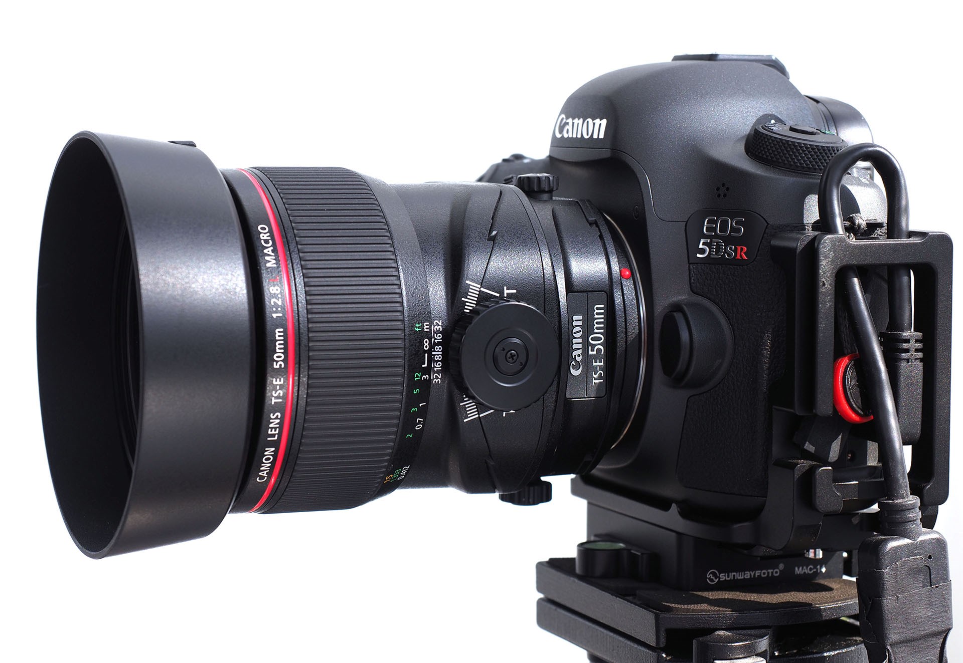 TS-E 50mm。スンゲくよく写る。