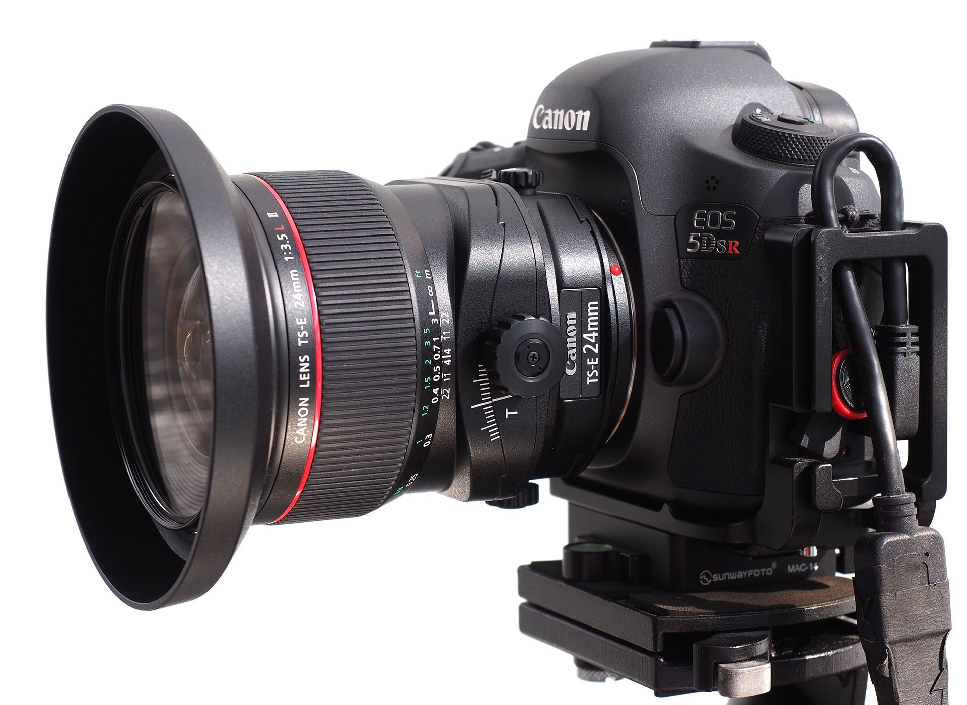 TS-E 24mm。これも非常によく写るうえに、発色が明らかにイイ！