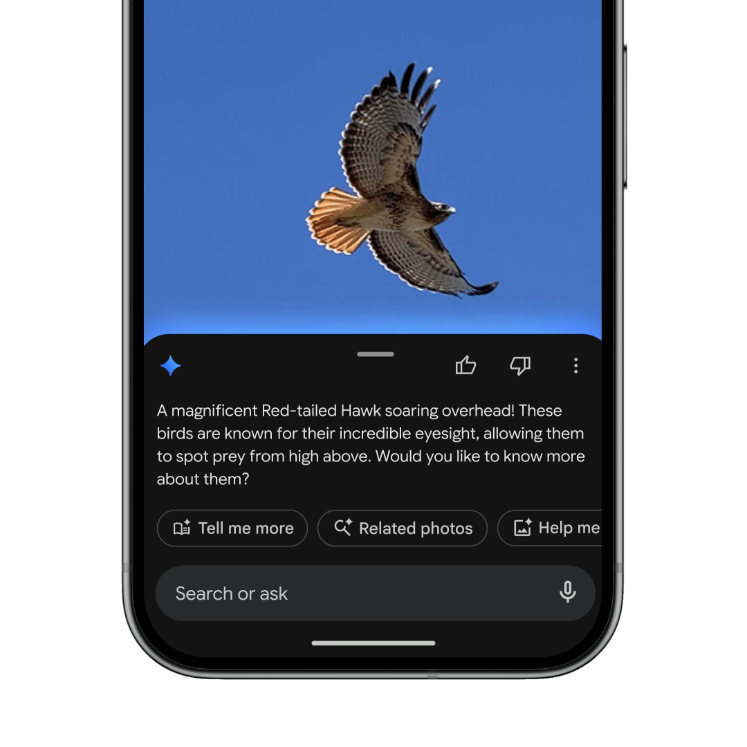 Askボタン経由で写真に関して質問できる