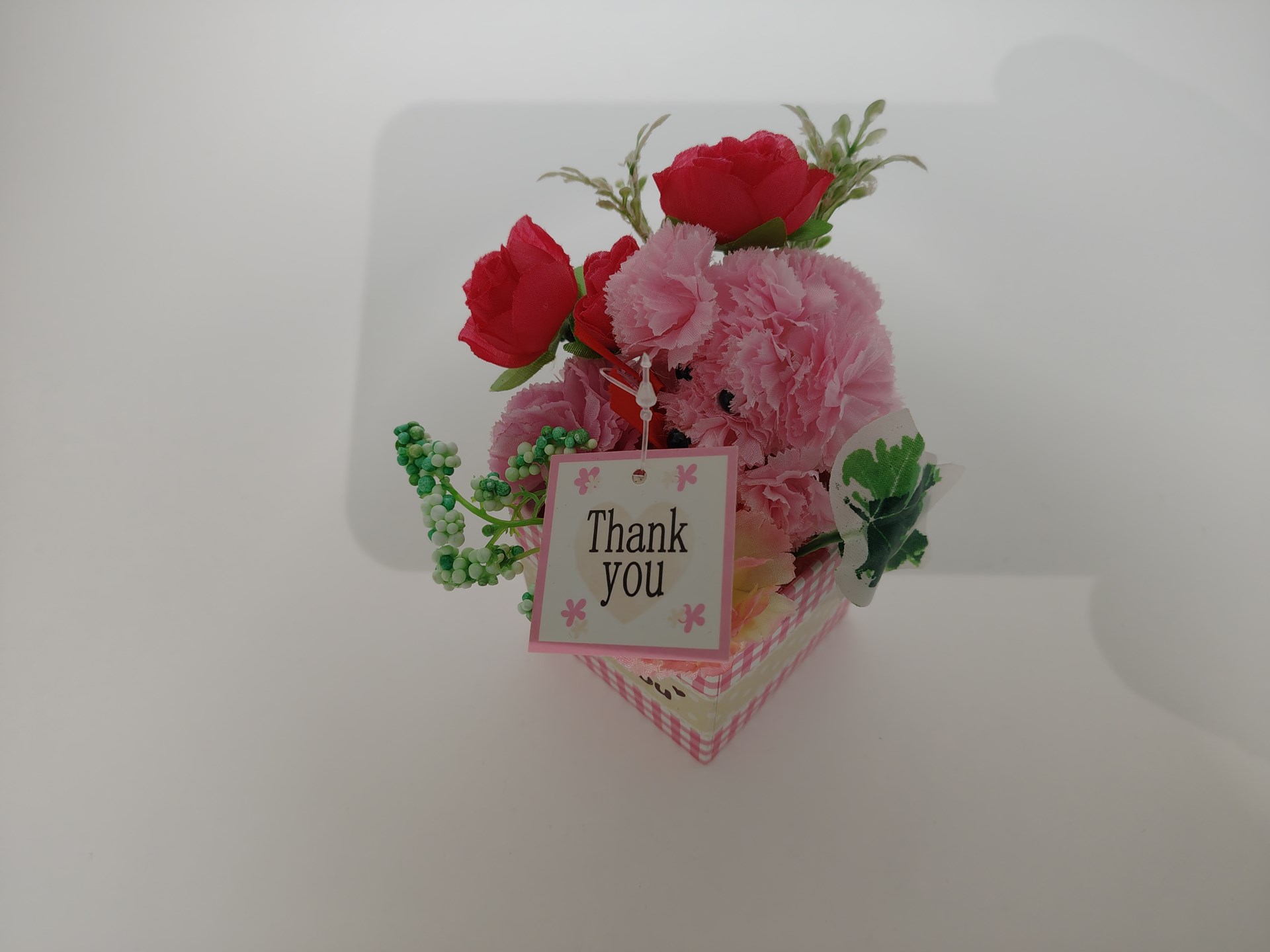 影除去OFFで撮影した写真