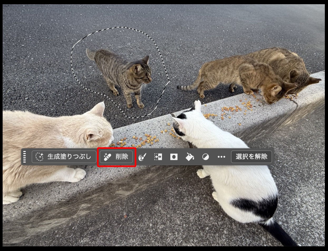 Photoshopで「削除」機能を使っている様子。消したいモノを範囲選択して「削除」ボタンをクリックするだけで使える。