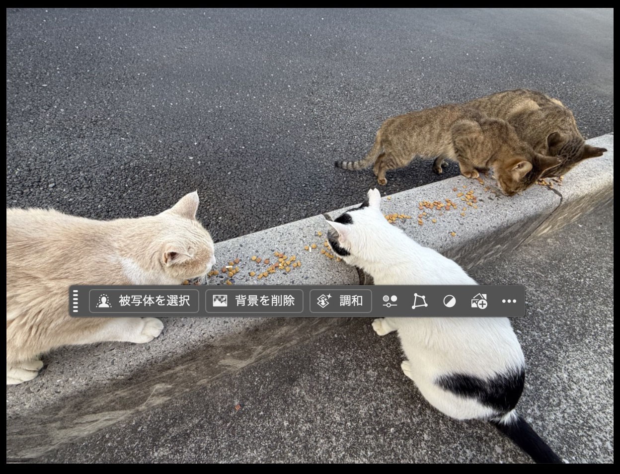 あら猫ちゃん消えちゃった～。イヤ～ン！　ビフォーアフターを見比べると（現在はまだ）消した痕跡が見え隠れするが、アフターだけ見るとAI処理なのかどうかの判別は難しい。