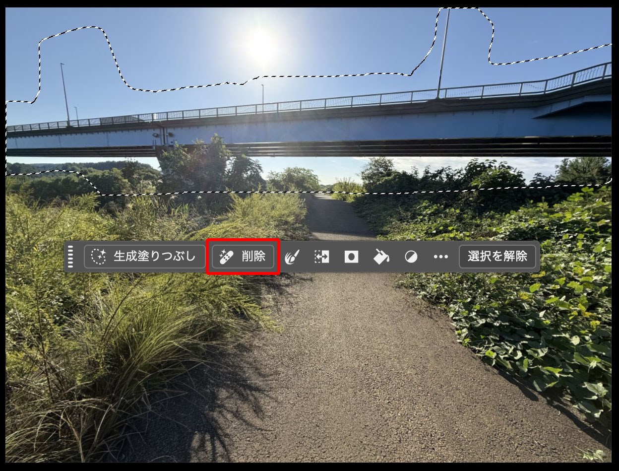 こういう被写体もキレイに消える。