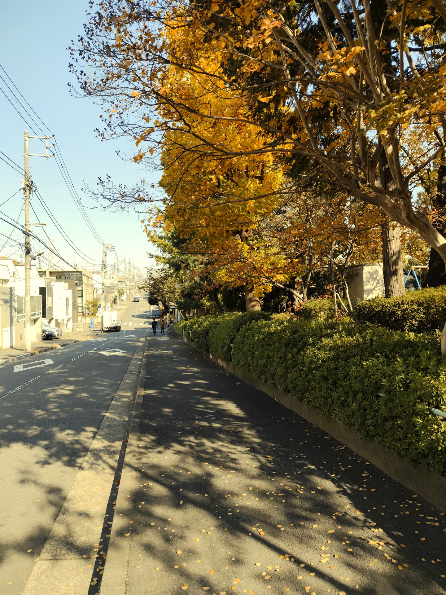 「PHOTO STYLEフィルター」の「昭和レトロ」で撮影。少し黄みがかった仕上がり