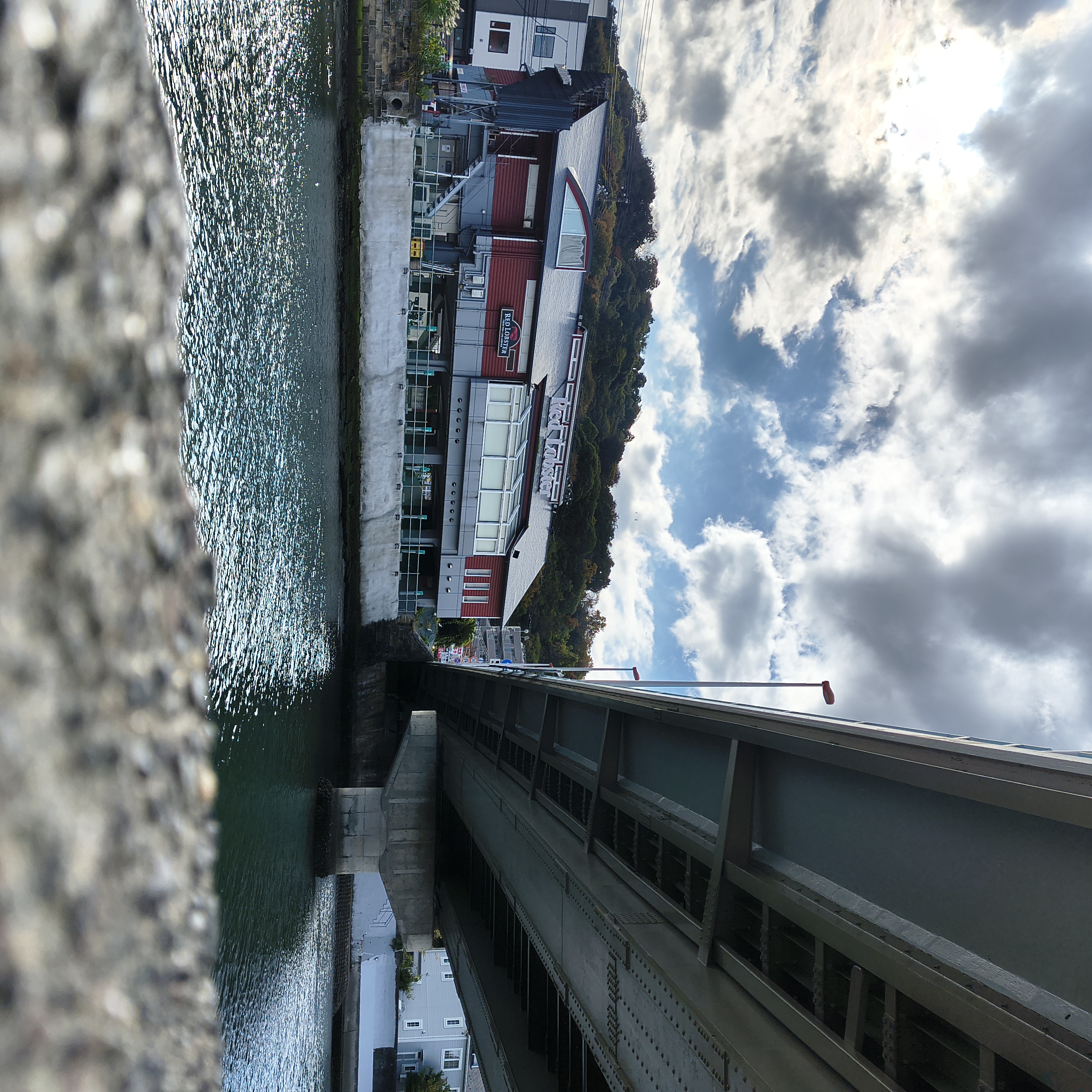 橋を下から見上げるように撮ってみた。手前の地面がボケて、趣のある写真になった