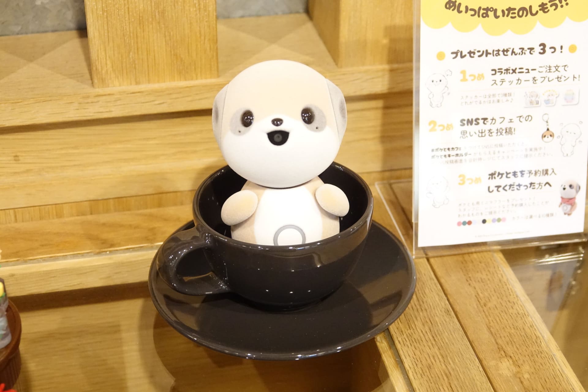 さまざまなシチュエーションのポケともがお出迎え