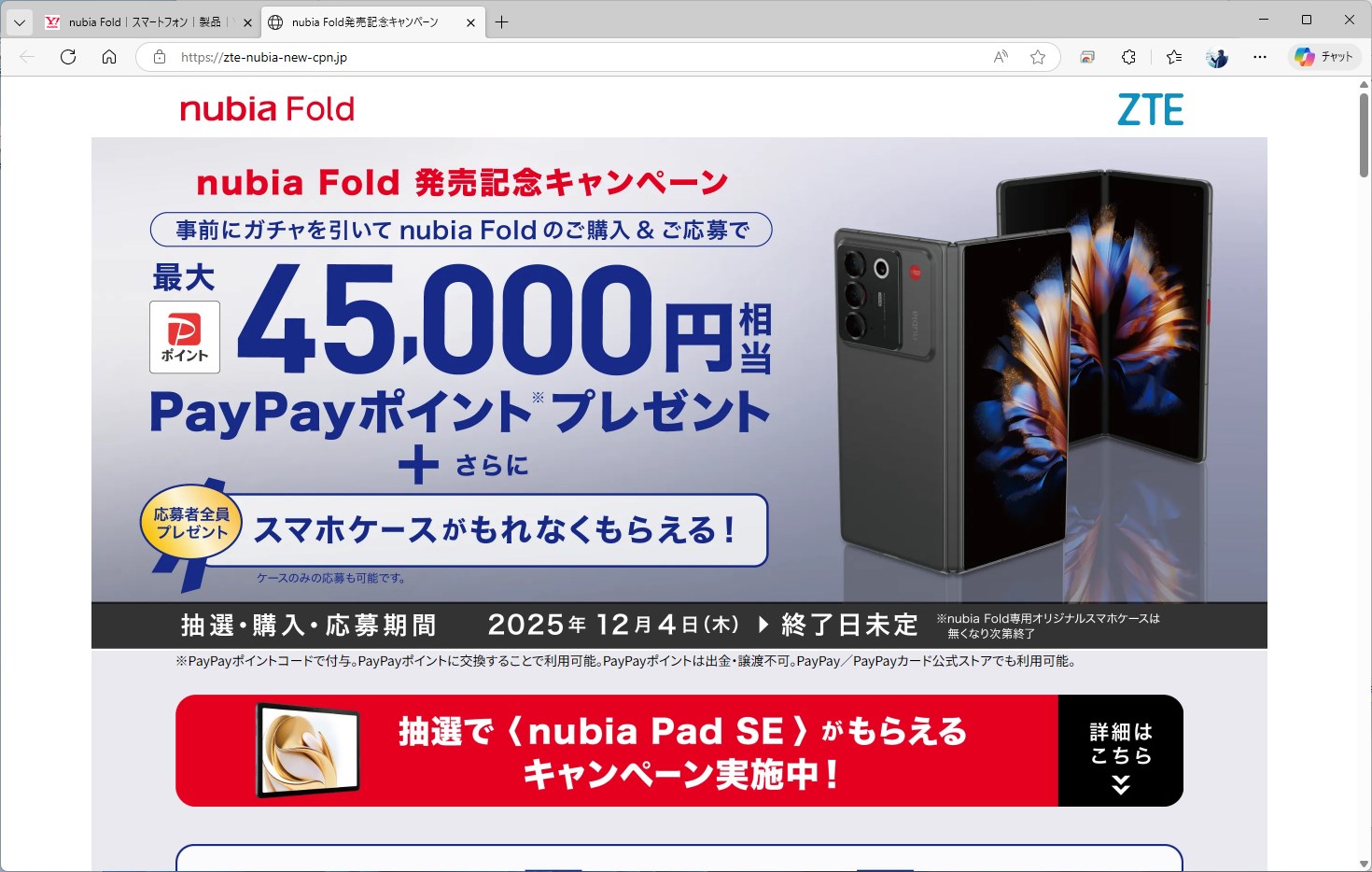 あくまで抽選だが、1等の場合、4万5000円相当の還元を受けられる。当たったら、買うしかないのでは……