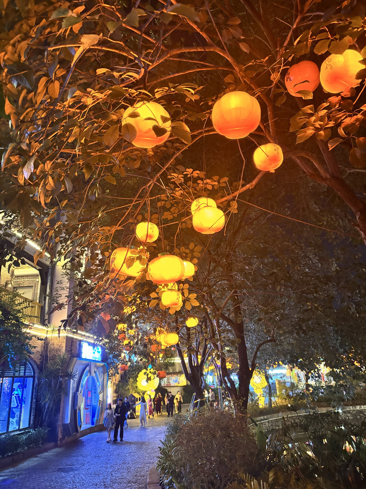 夜の深センでございます。