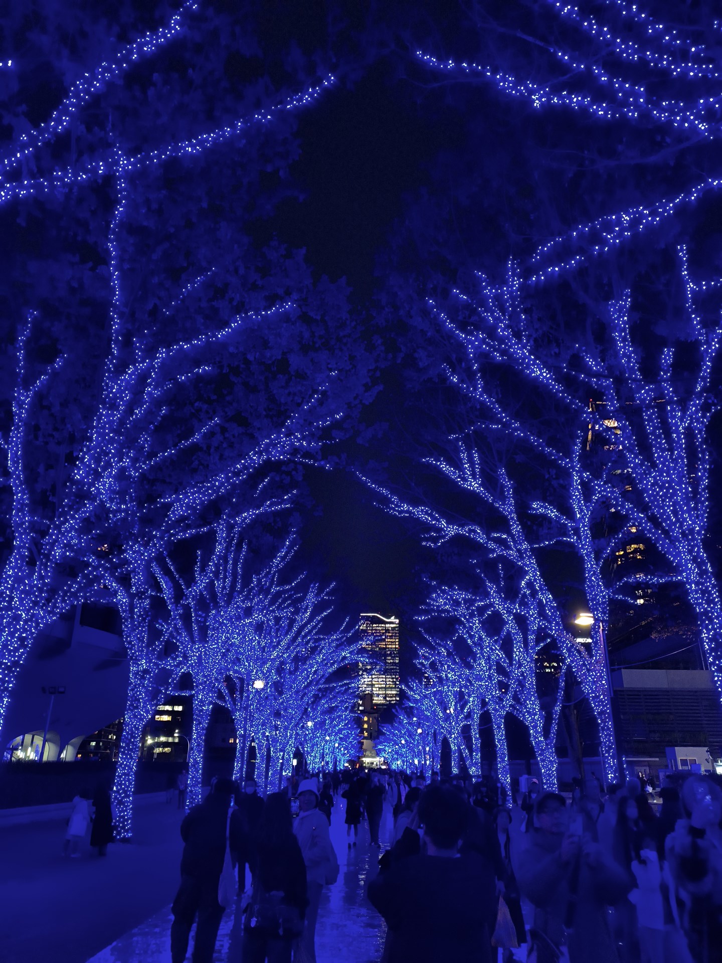 渋谷で開催されているイルミネーション「青の洞窟」。そのムーディーな感じを見た目以上に再現できた。幻想的な感じながら、LEDひとつひとつを克明に描ききっている