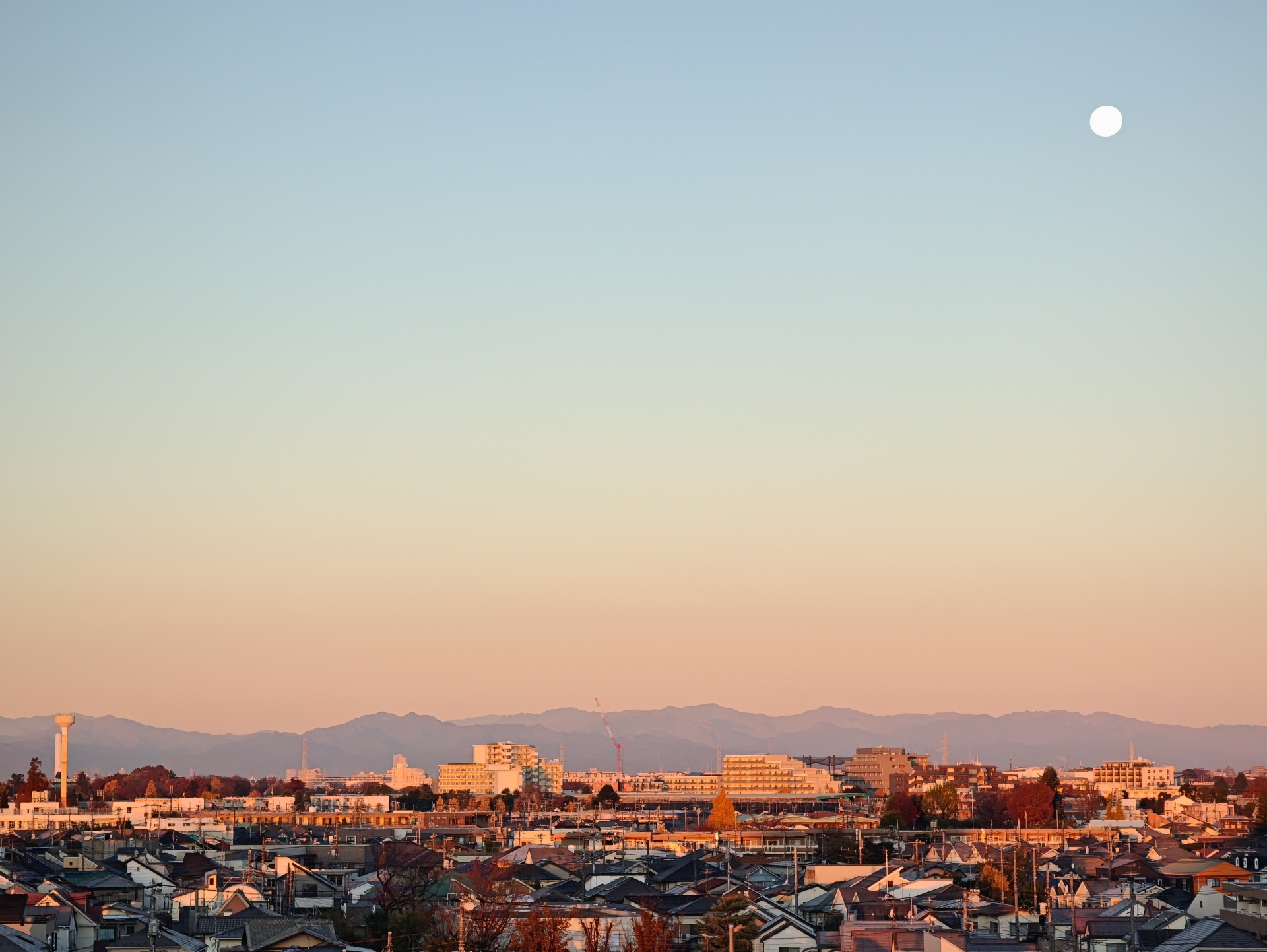 望遠カメラで撮影