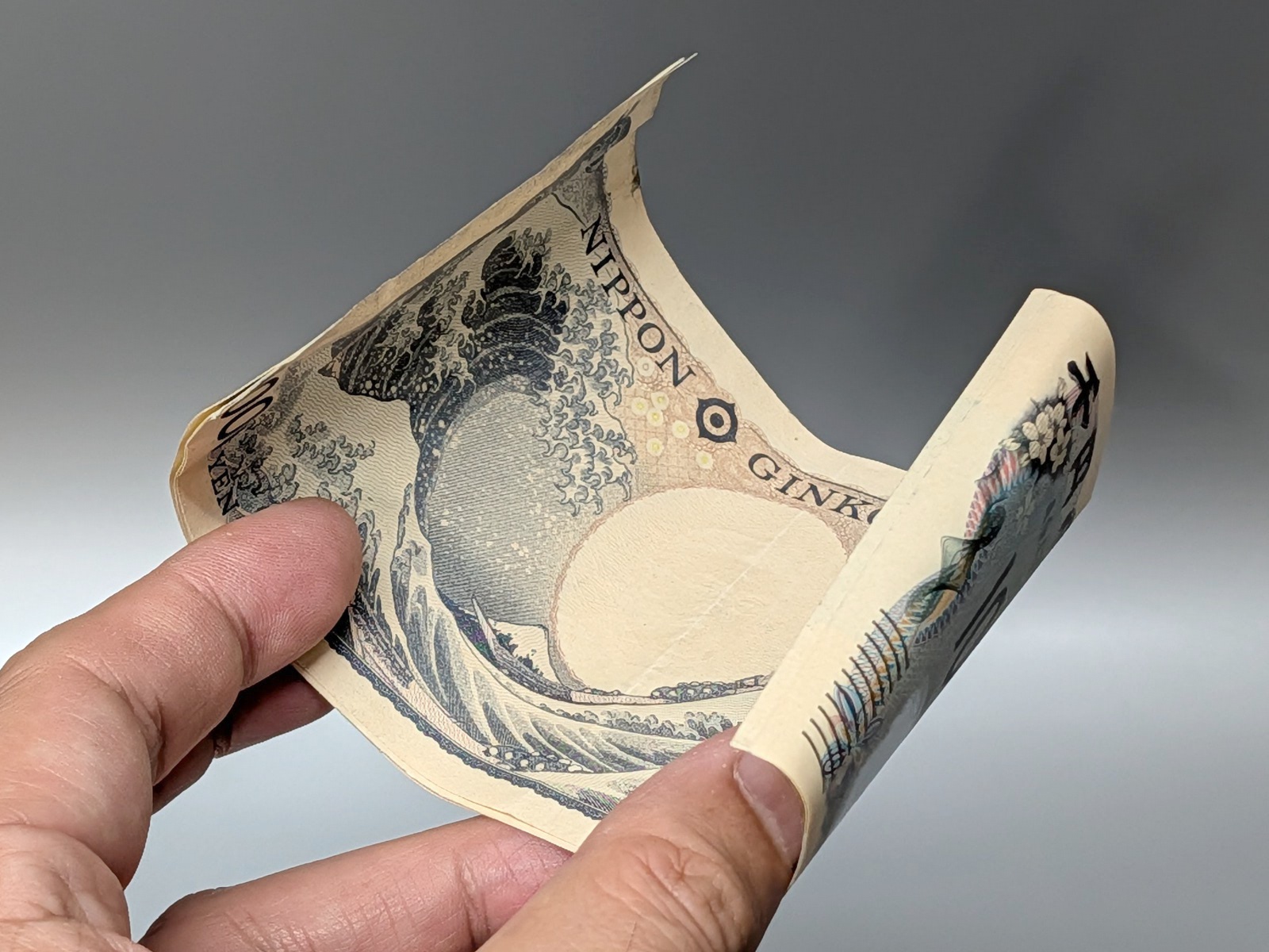 丸められているため紙幣は折り目がつかないのがポイント