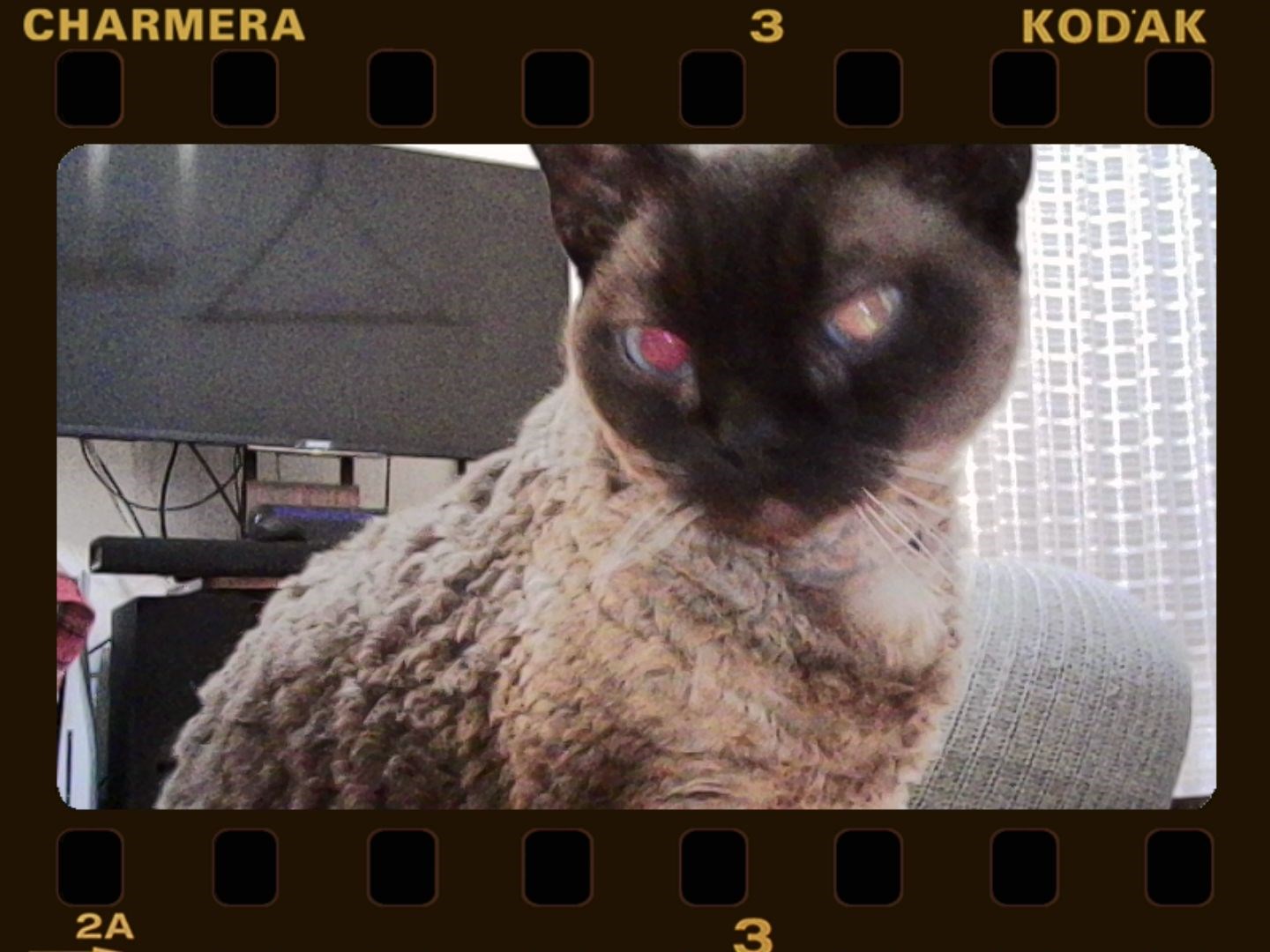 ピクチャーフレーム。KODAKの遊び心満載です。