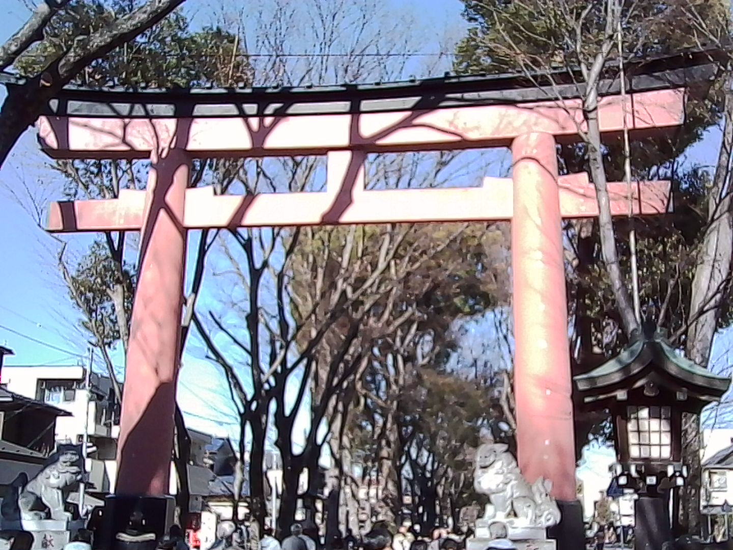 晴天の野外で撮影。細かい部分は潰れてしまいますが、全体的にはけっこうちゃんと写ります。