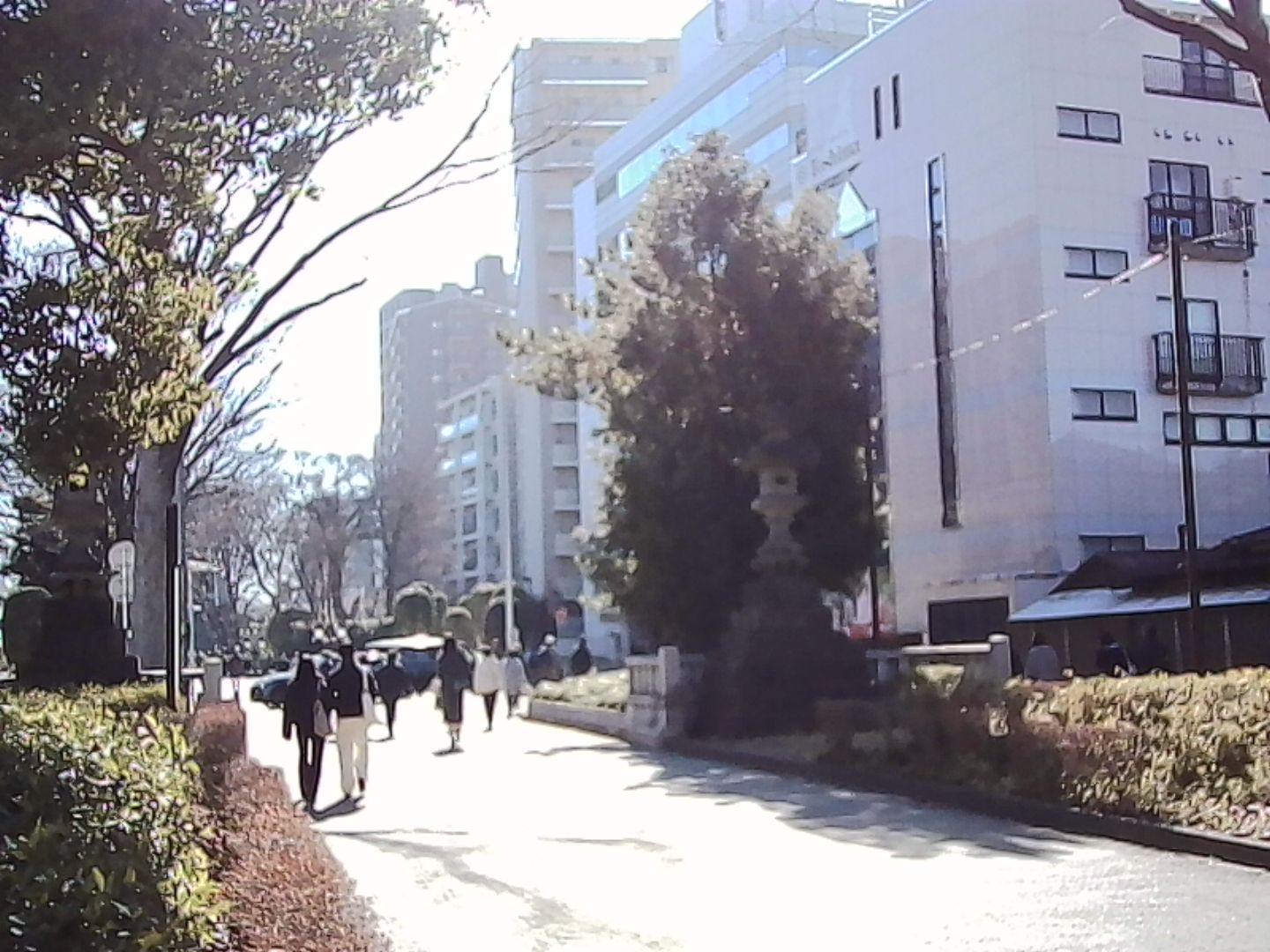 晴天の野外で撮影。細かい部分は潰れてしまいますが、全体的にはけっこうちゃんと写ります。