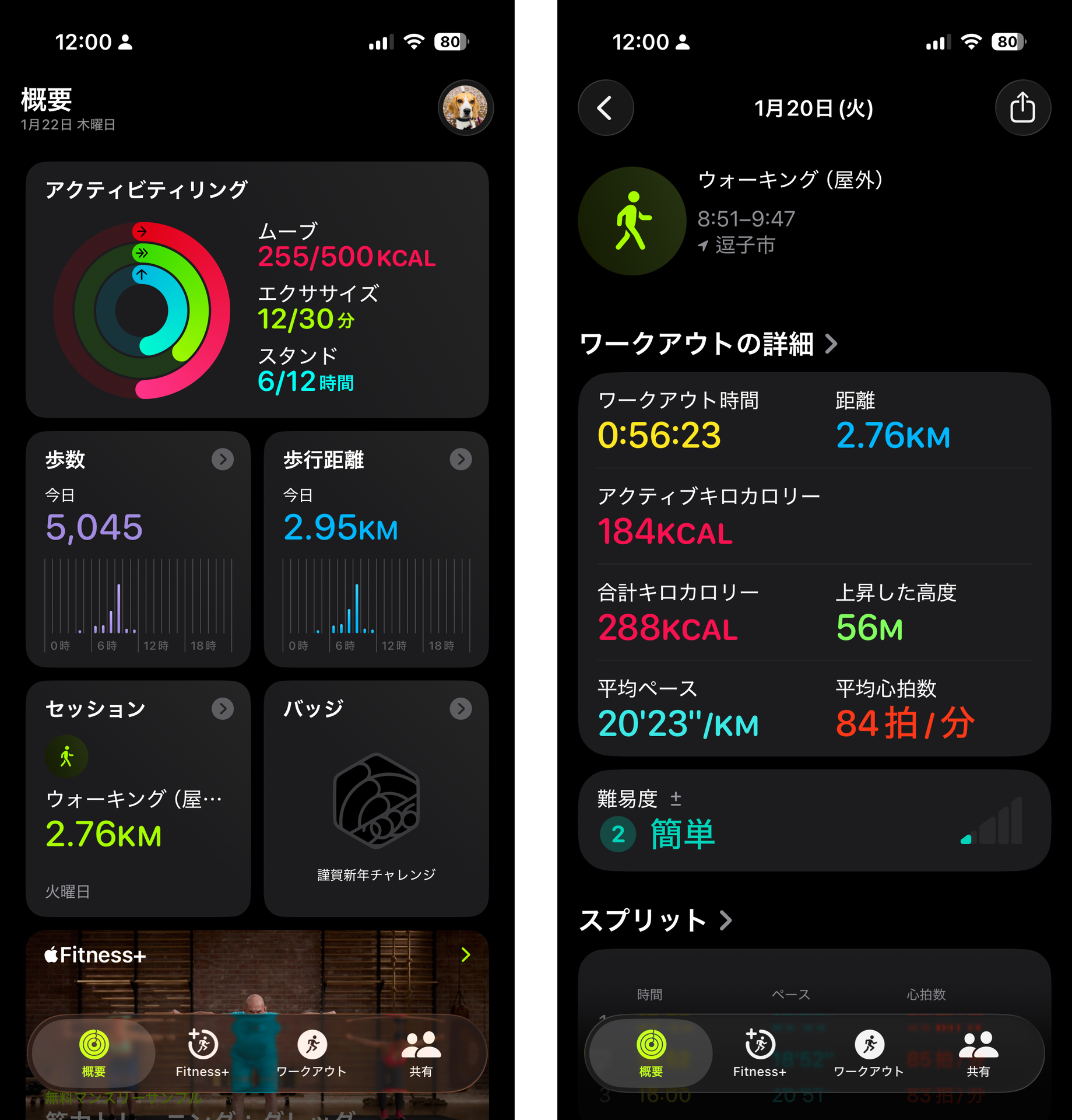 毎日の運動の記録に役立つことは言うまでもない