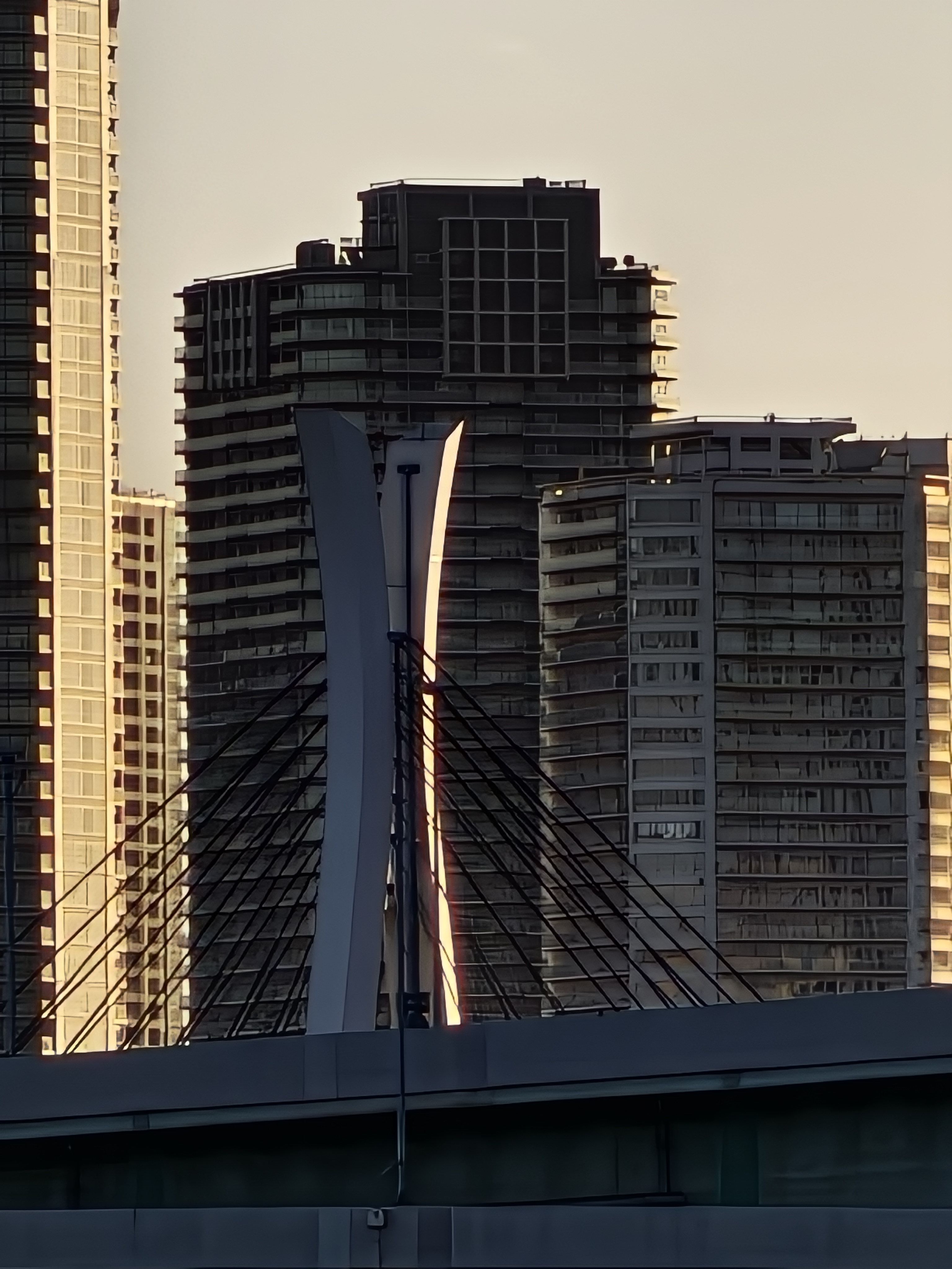 デジタルズーム域では塗り絵的な仕上がりになる。用途によっては使えるかもしれない