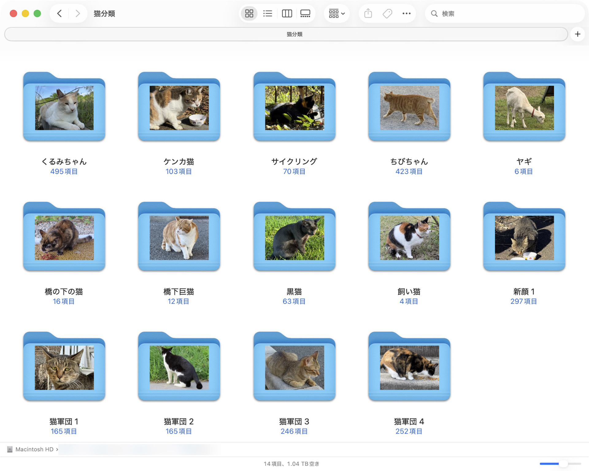 実際に使っているものとは違うが、こんな感じでそれぞれの猫をフォルダで分類している。またフォルダ名は猫の名前などとし、フォルダには猫の写真が貼られているので、フォルダ一覧をザッと眺めれば猫の名前でも画像でも目的の猫を「一望する程度で見つけられる」ようになった。