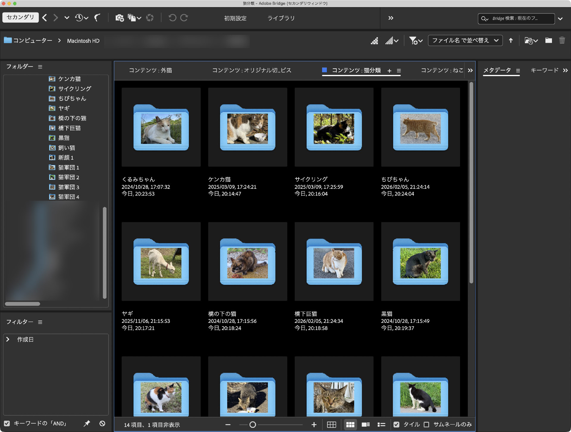 macOSレベルで画像入りフォルダが扱われるので、画像ブラウザなどからフォルダを見ても画像入りフォルダとして見える。このスクリーンショットはAdobe Bridgeの表示。