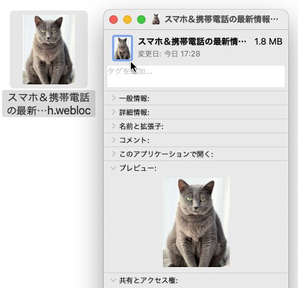 情報ウィンドウが開くので、左上にある小さなアイコンマークをクリックしてアクティブにする。その状態で画像をドラッグ＆ドロップしたり、クリップボード上の画像をペーストしたりすれば、好みの画像をファイルのアイコンにできる。