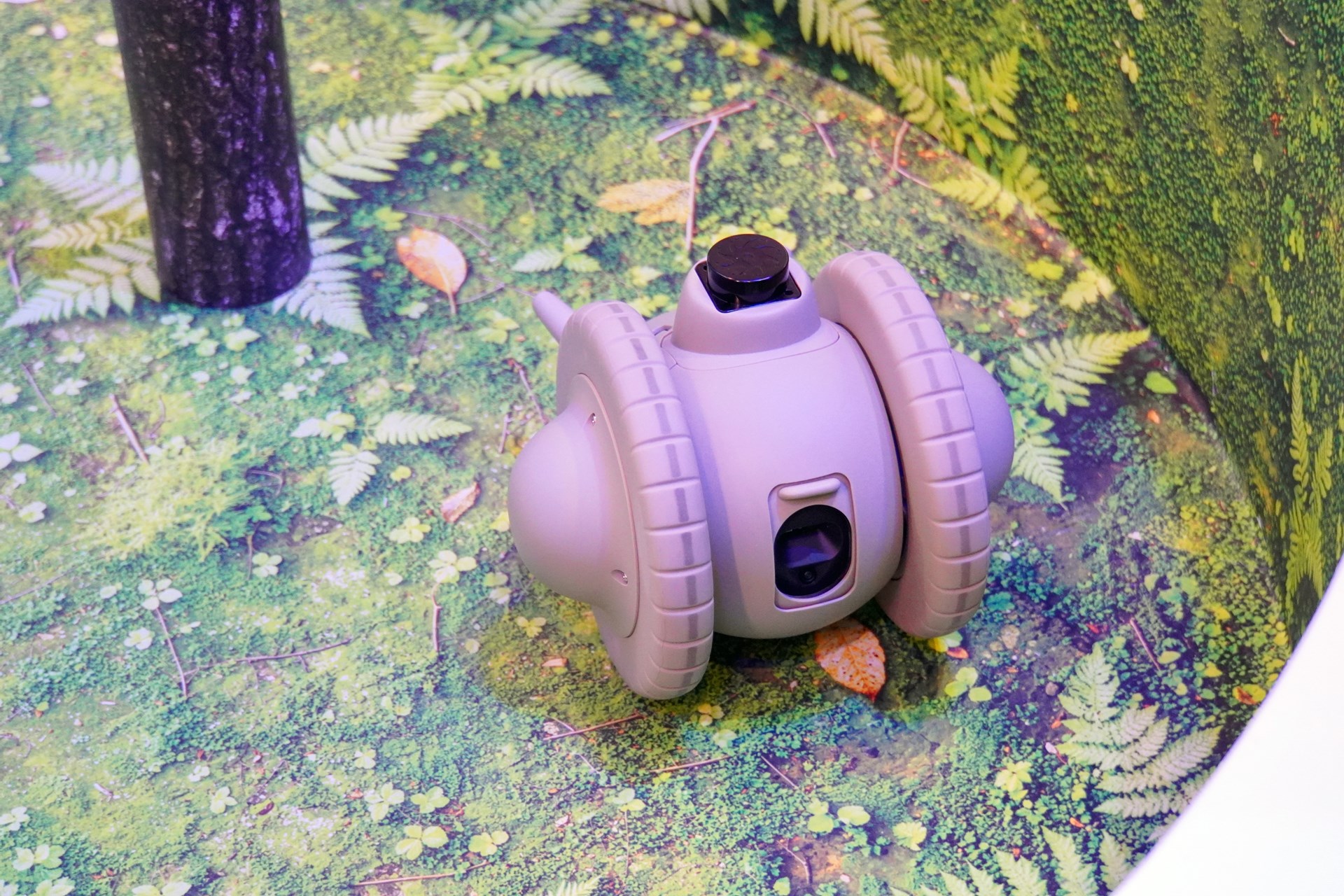 ユカイ工学と共同開発した自律共生ロボットのDENDEN。6Gでは、こうしたロボットやAIに向けたネットワークを志向していくという