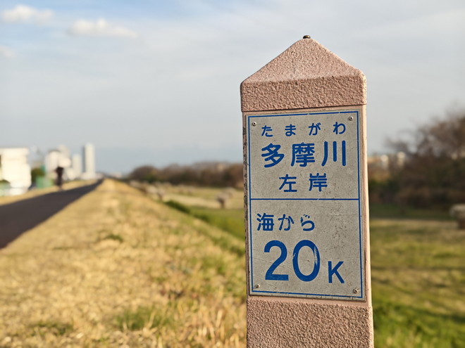 多摩川の道標を撮った。ライカらしい落ち着いた色合いと、自然で優しいボケ味が好印象だ。ディテール感も素晴らしく、スマホで撮影したとは思えないほど