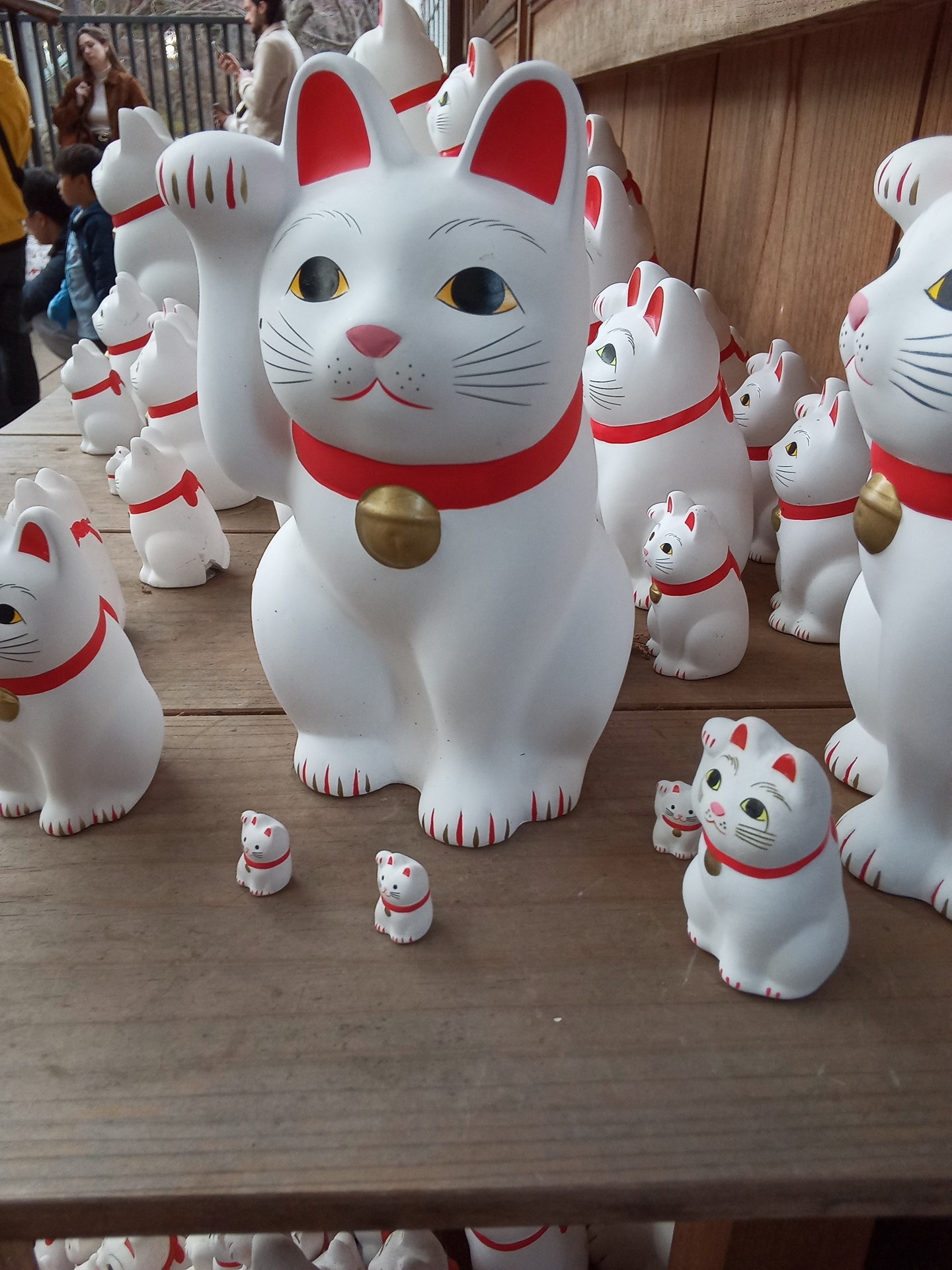 少し近めの距離から招き猫を撮影。背景はそれほど大きくボケない