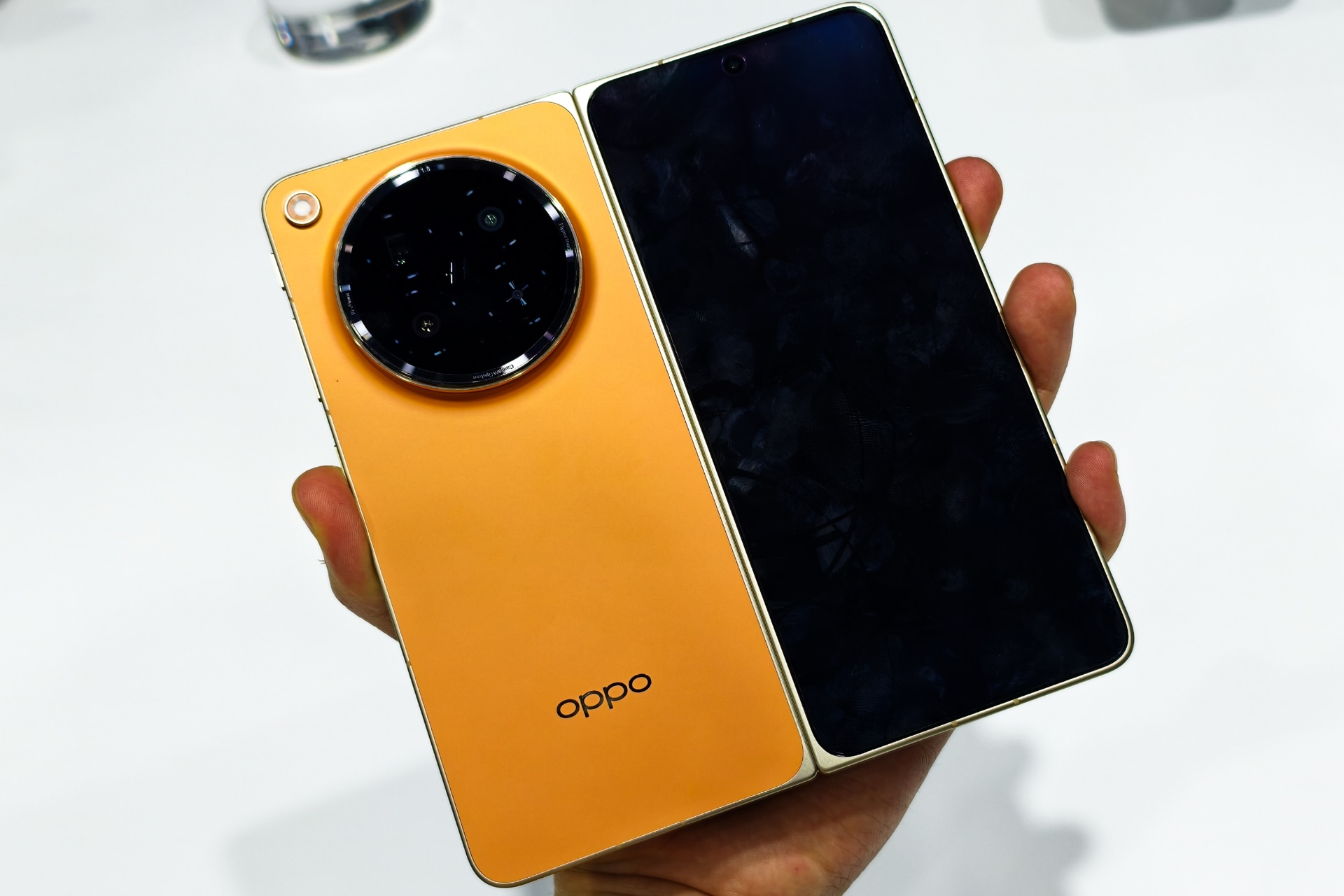 ブロッサムオレンジ