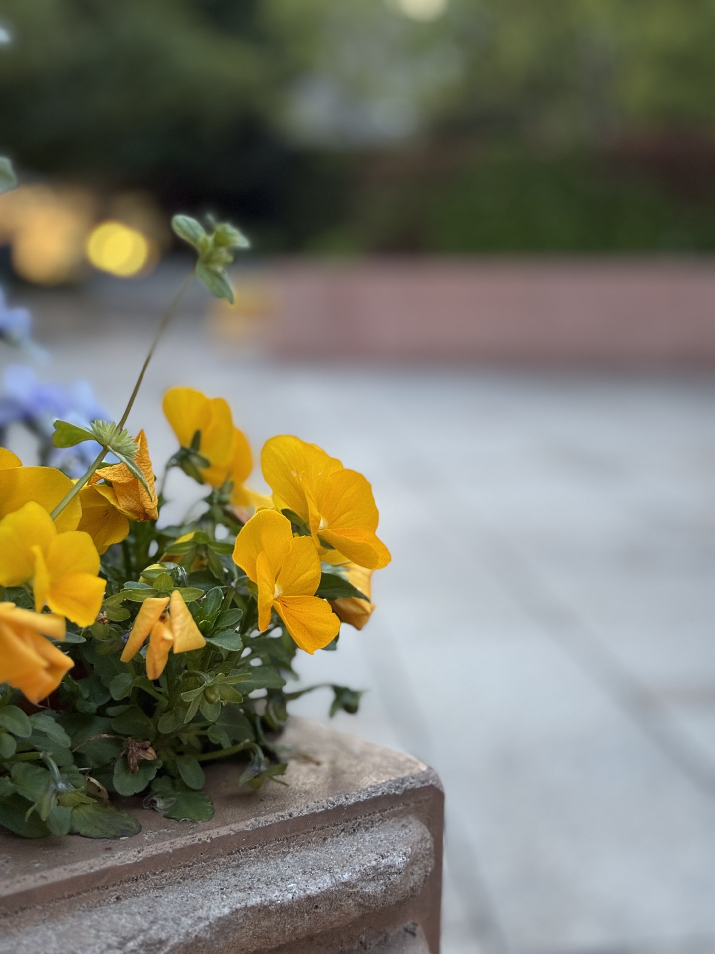 ポートレート2倍（撮影位置を変更）