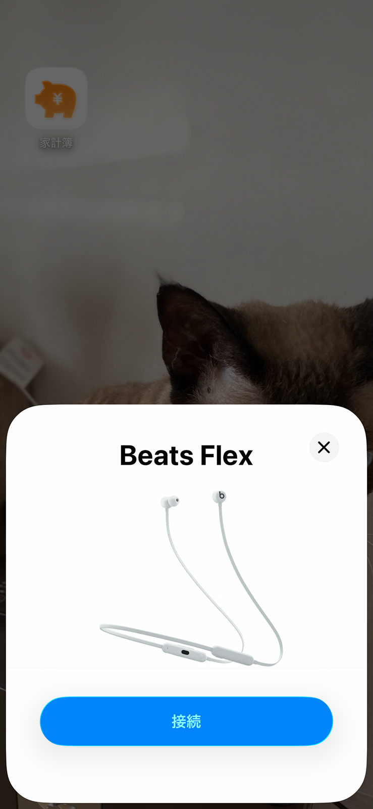 電源を入れてiPhoneの近くに置いておくと、すぐにこの接続画面が現れるので接続がとても簡単です。