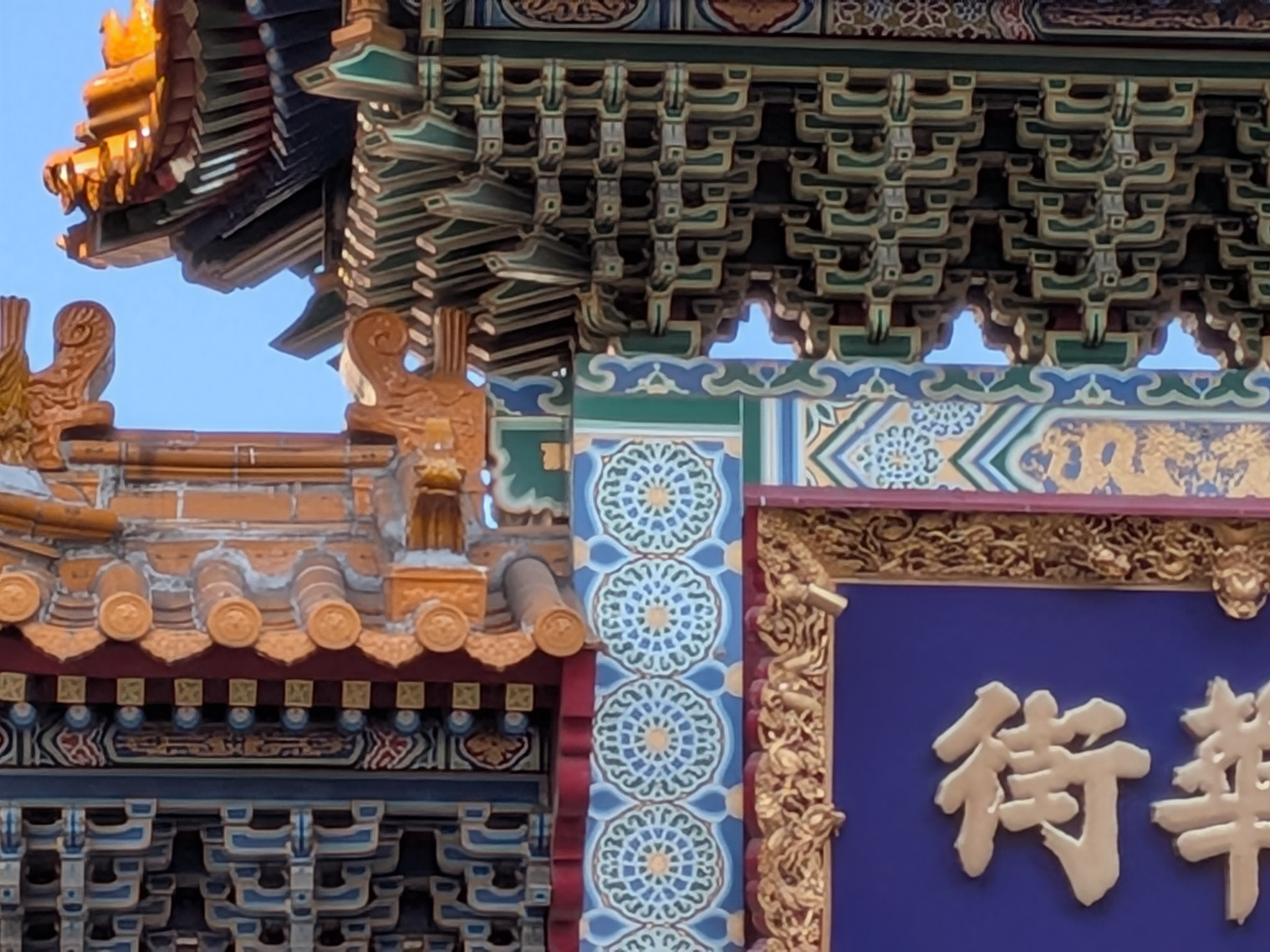 デジタルズーム最大の8倍で撮影