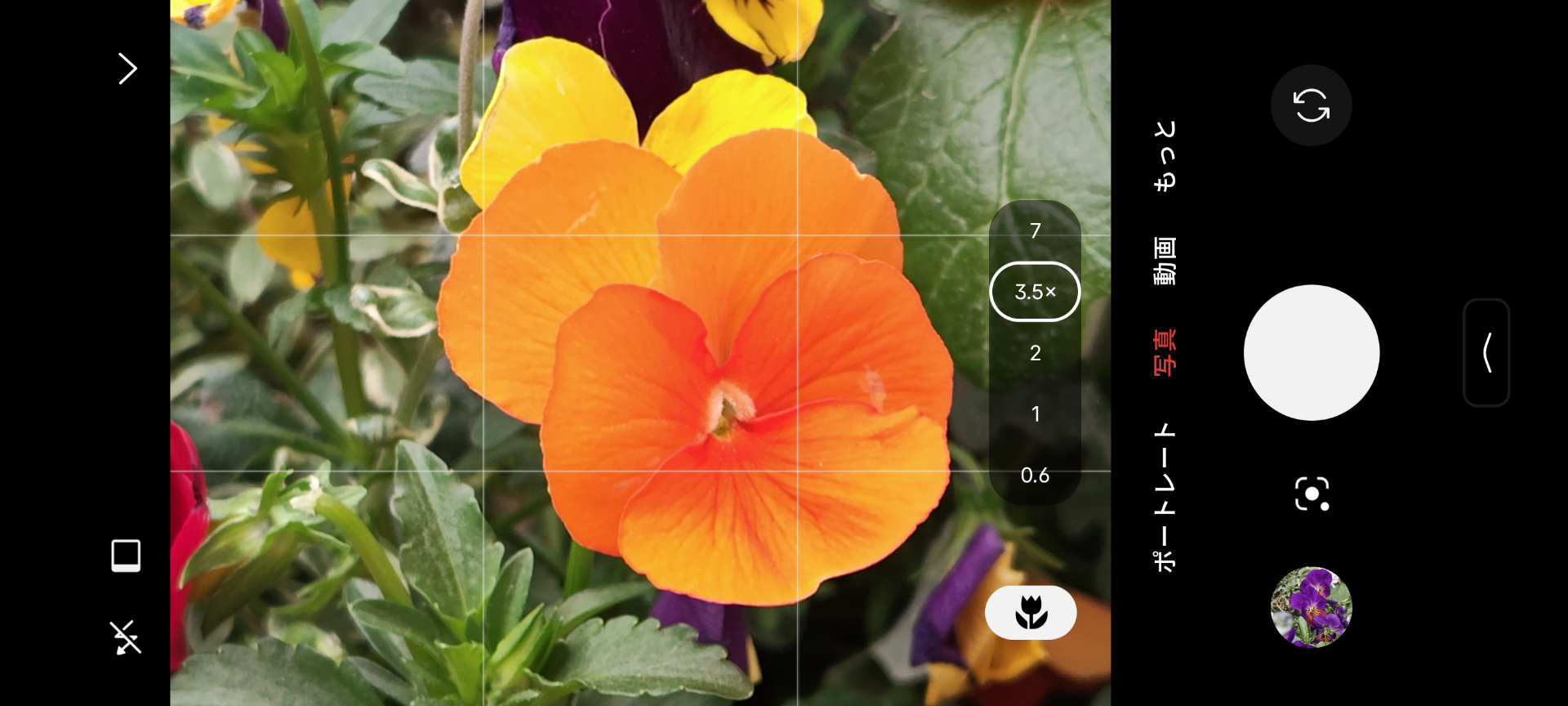 自動で広角カメラを使用したマクロモードになる