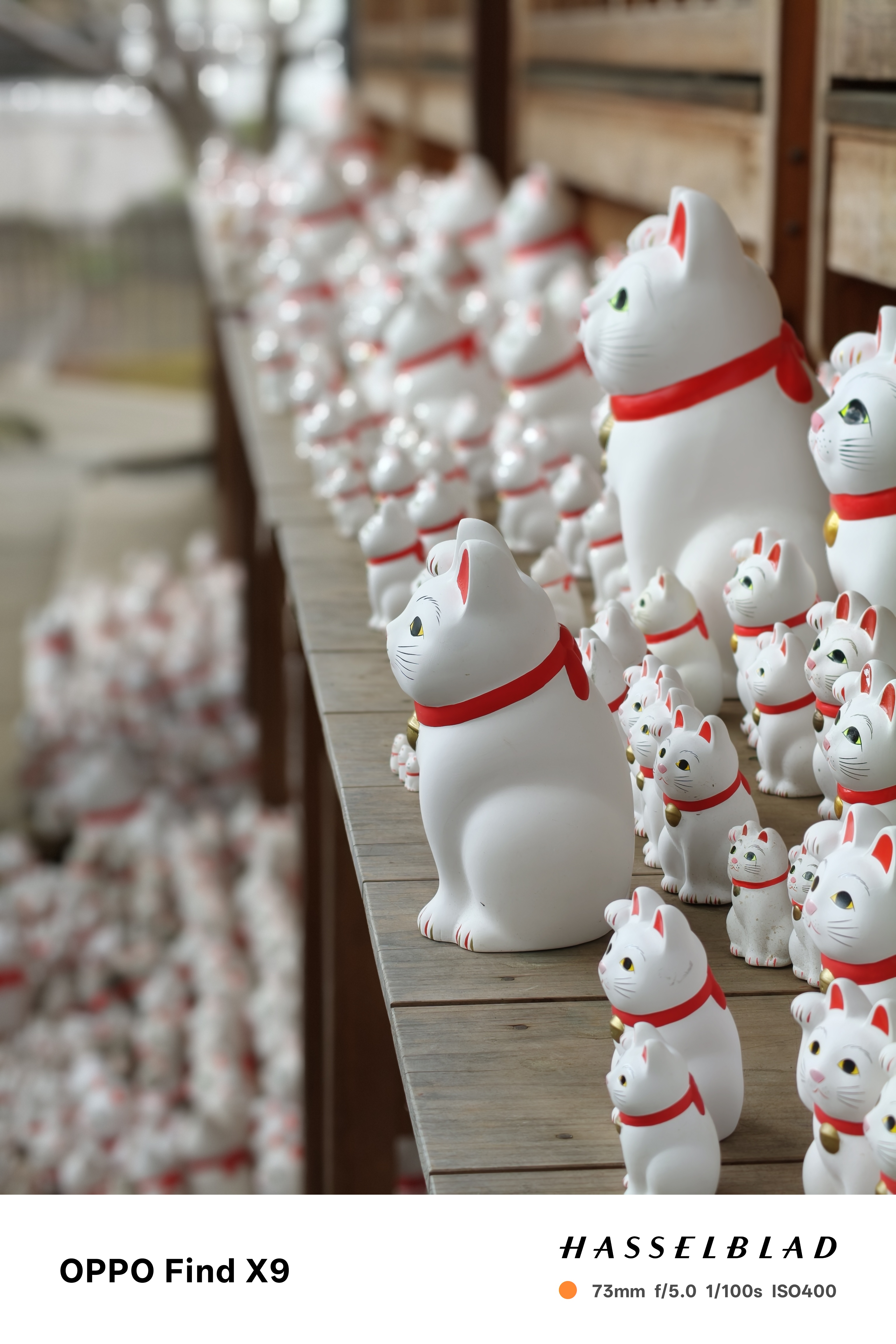 招き猫を撮影。背景や周囲をぼかすことで、中央の招き猫が際立った仕上がり。ぼけも自然