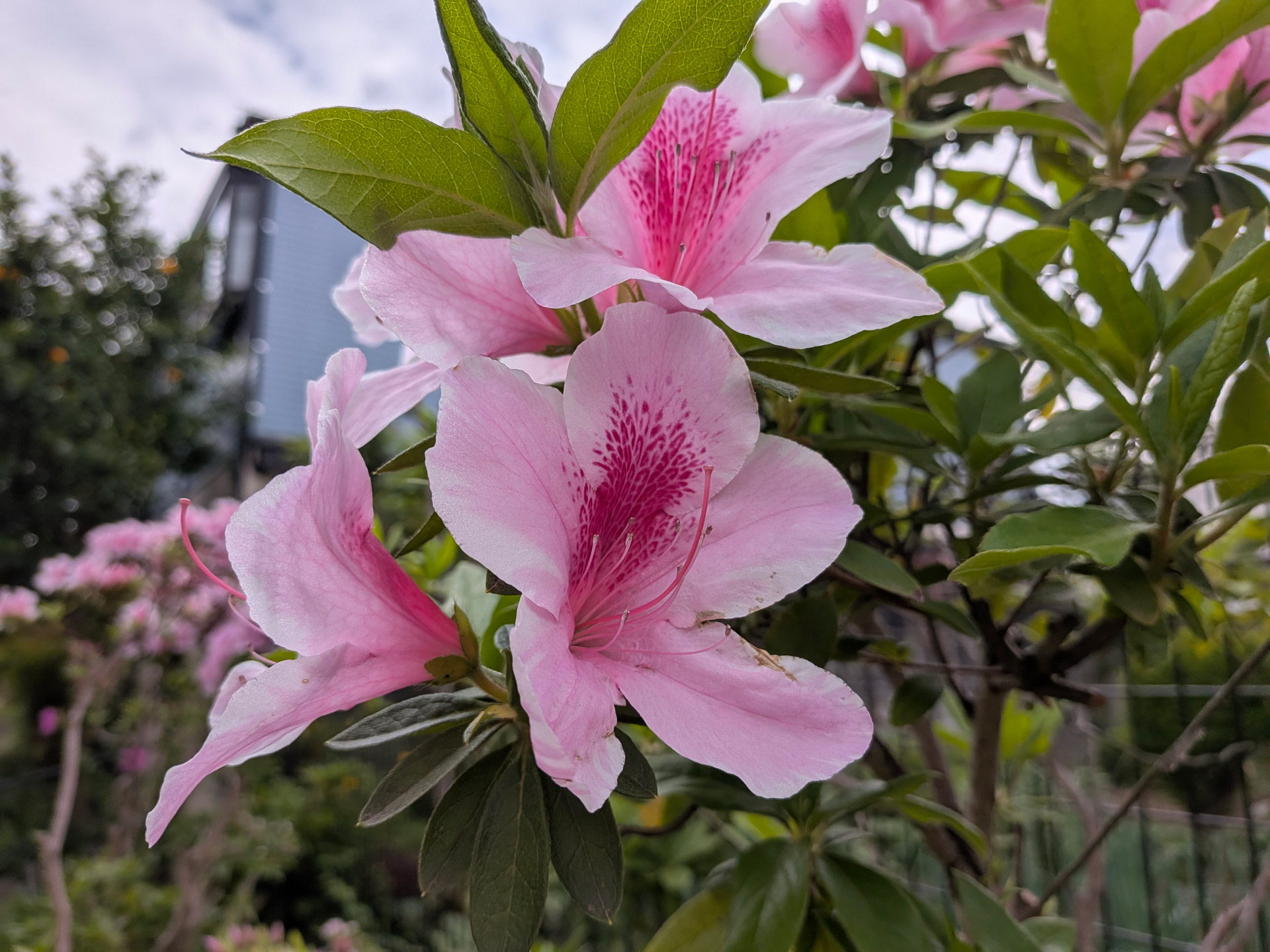 高倍率ズームはないけれど、写真の画質も十分に高い