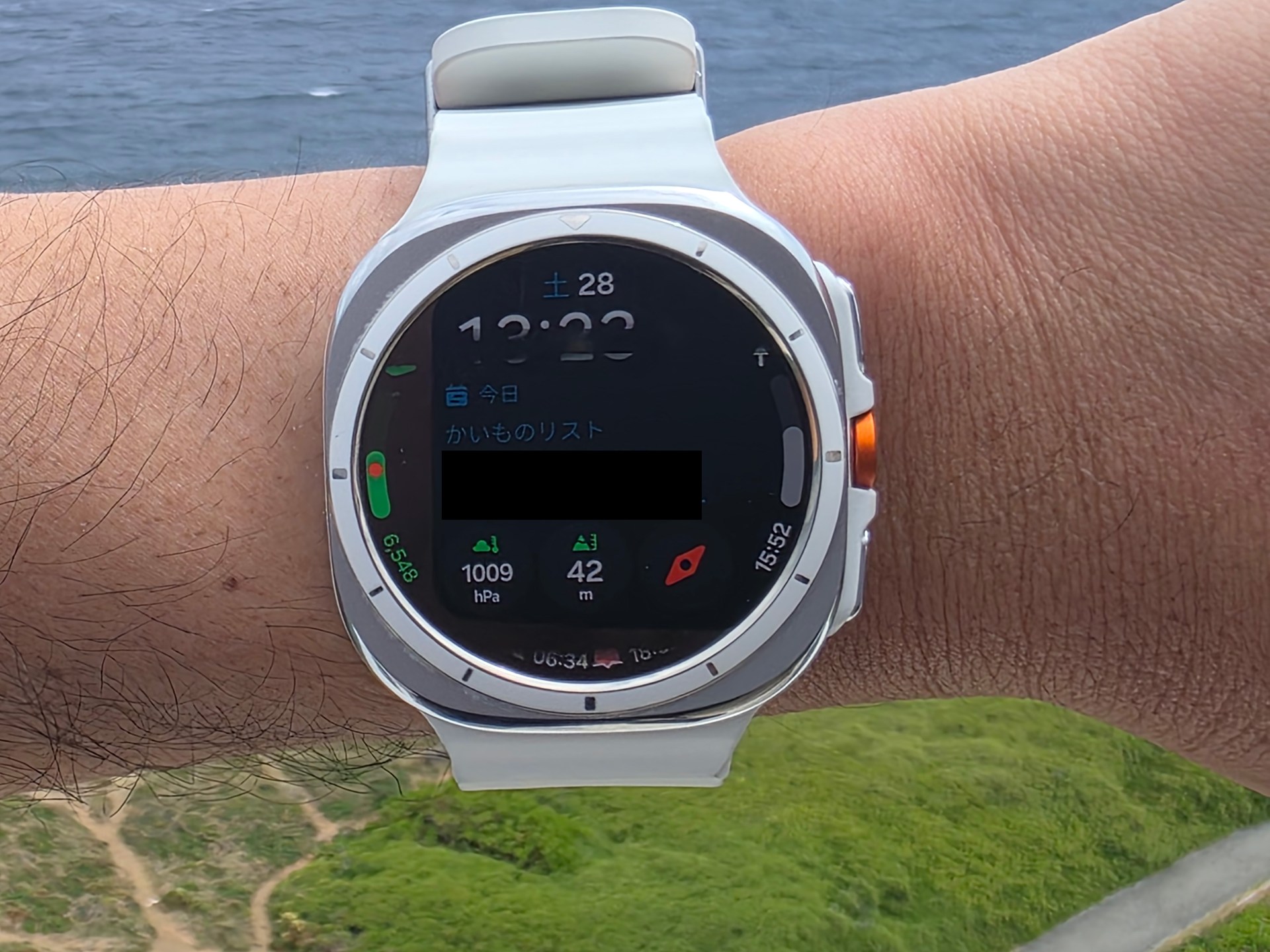 海は見えるが、高さは余裕があった<br>※写真は別の場所で撮影