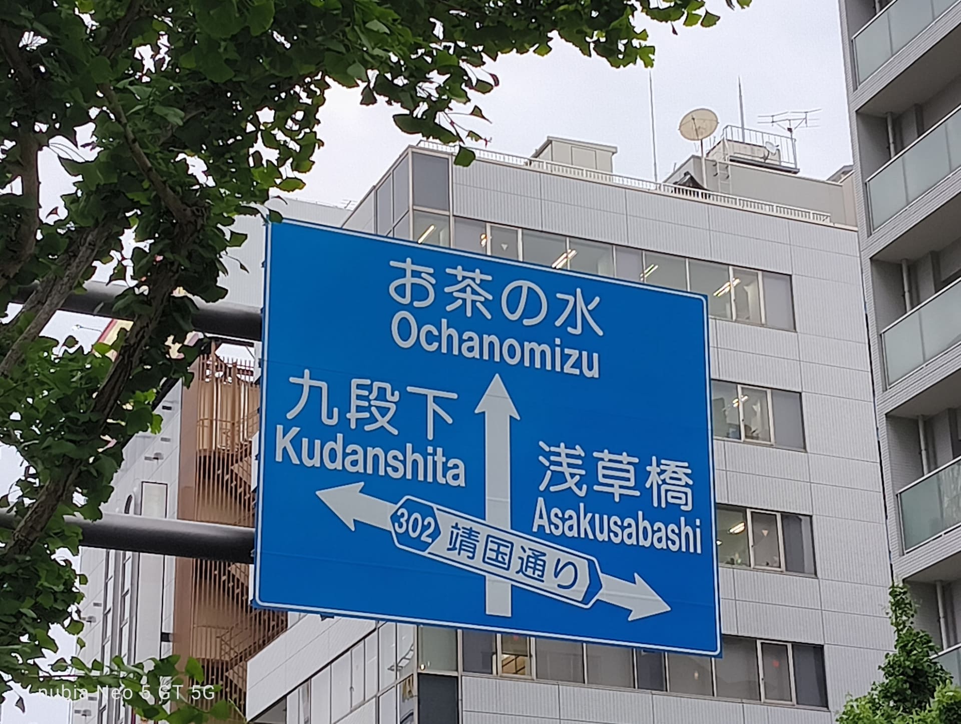 ピントを手前に合わせたもの
