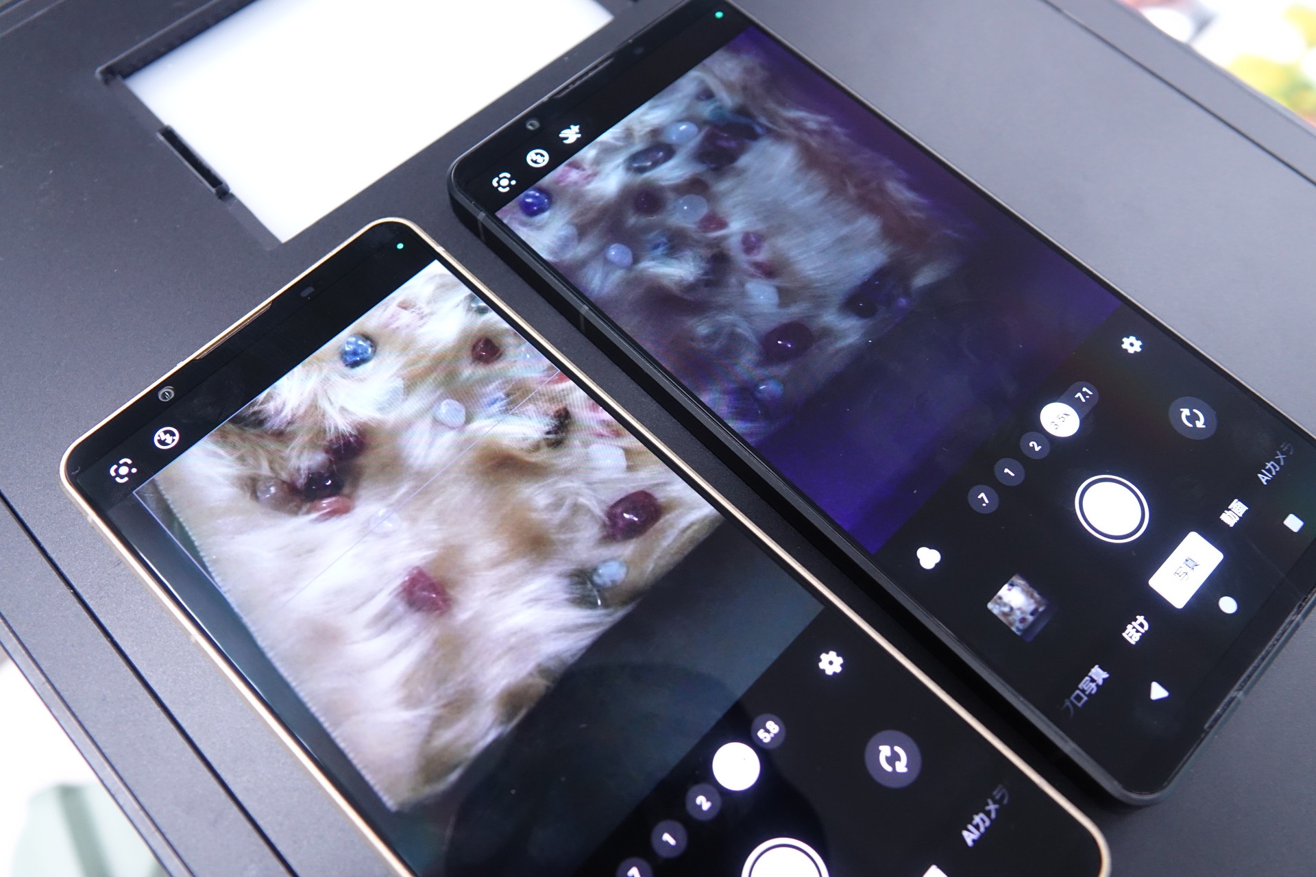 案所での撮影の違い。左が新型Xperia 1 VIII