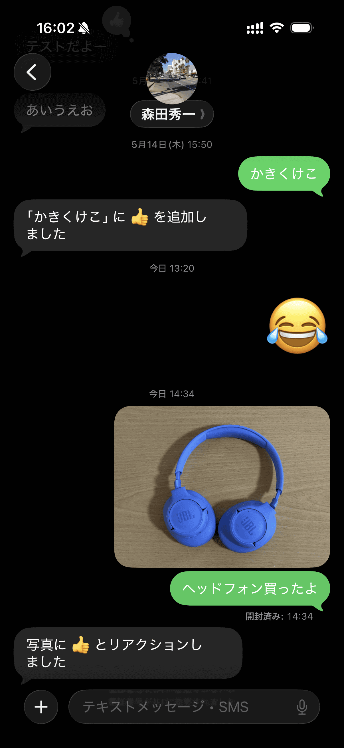 そしてiPhone側。リアクションは画像に対して付与されるというより、単に文字として届きます