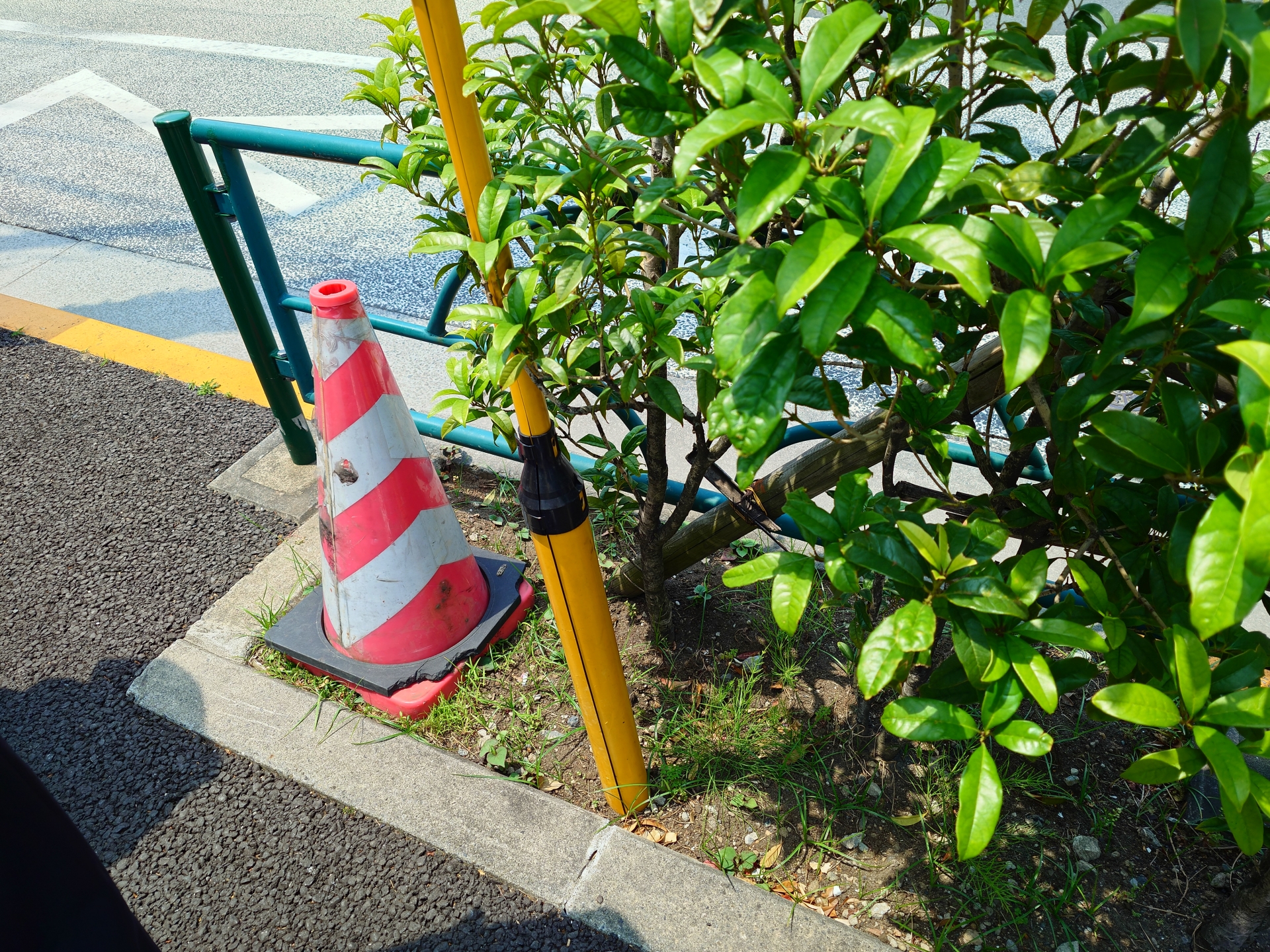通常撮影