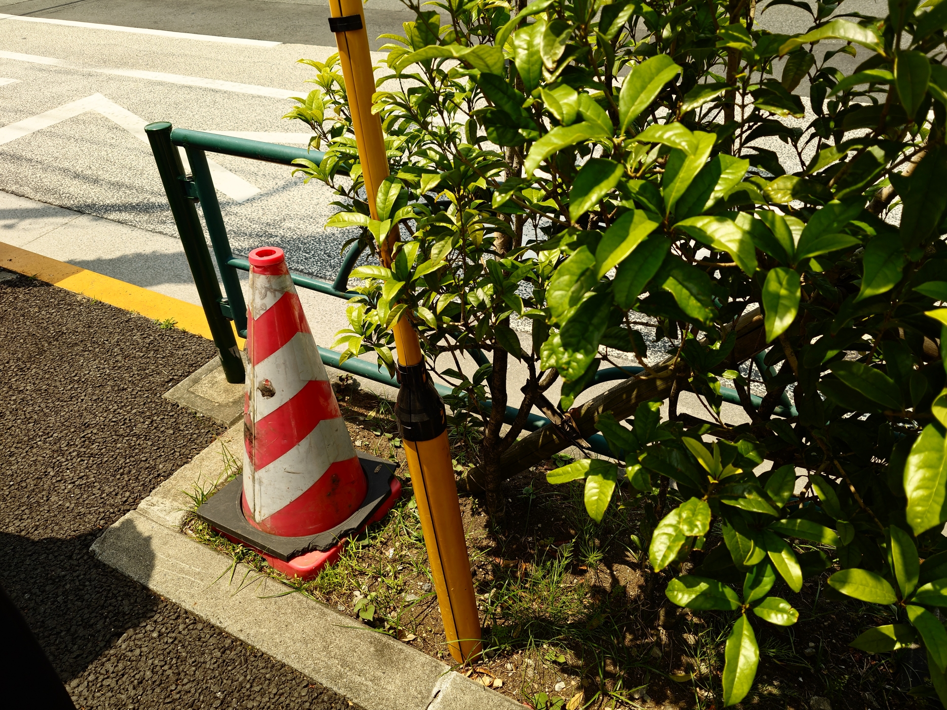 提案された設定で撮影