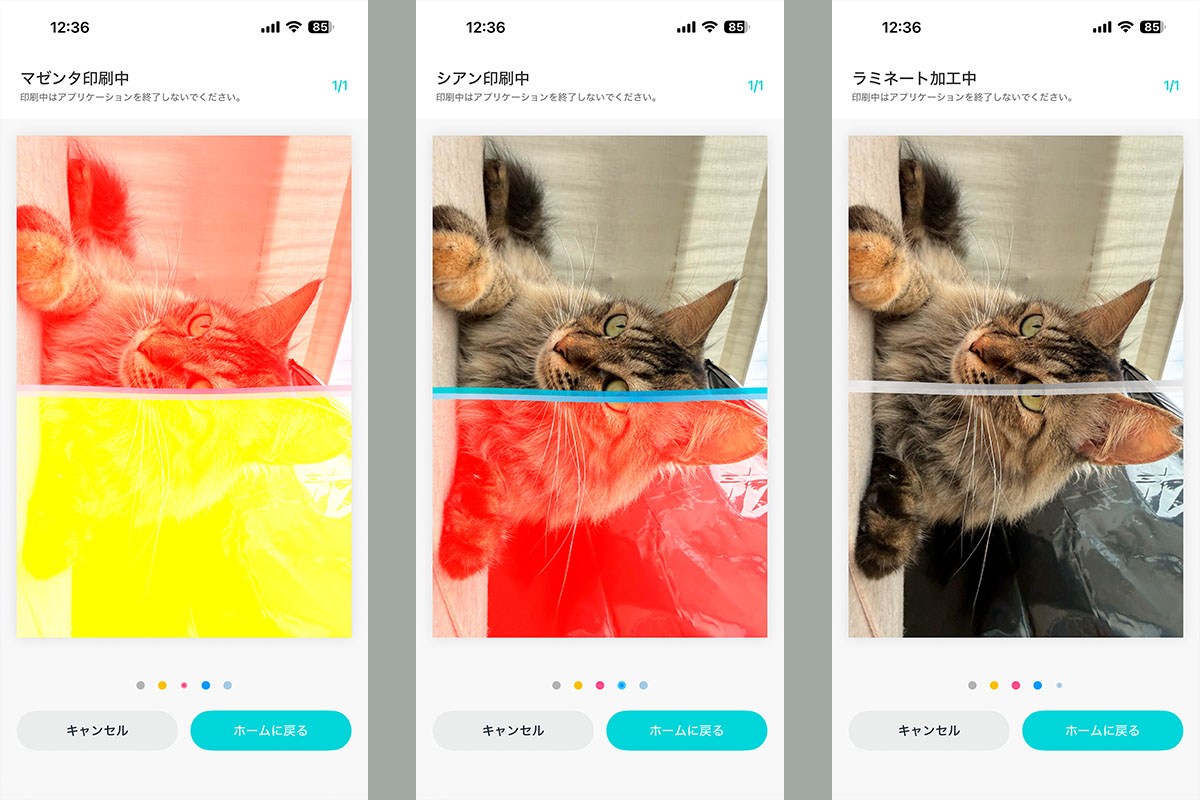 「写真印刷」でプリントを開始した様子。昇華型印刷ではイエロー(Y)、マゼンタ(M)、シアン(C)をそれぞれ重ねてプリントするが、「現在どの色を重ねているか」がグラフィカルに表示される。これはほかの印刷方法でも同様に表示される。Pearl N200 Proからはフィルムが物理的に出入りしており、そのフィルム上にもほぼ同じ色(の重ね具合)が見える。アプリ側の表示は無くてもいい演出ではあるものの、見てみて興味深いし楽しい。ちなみにこの写真の場合、プリントを終えるまでに約1分20秒かかったが、徐々に色が整っていく様子を見ているのは意外に飽きず、「もう印刷された」という気分になったりもする。