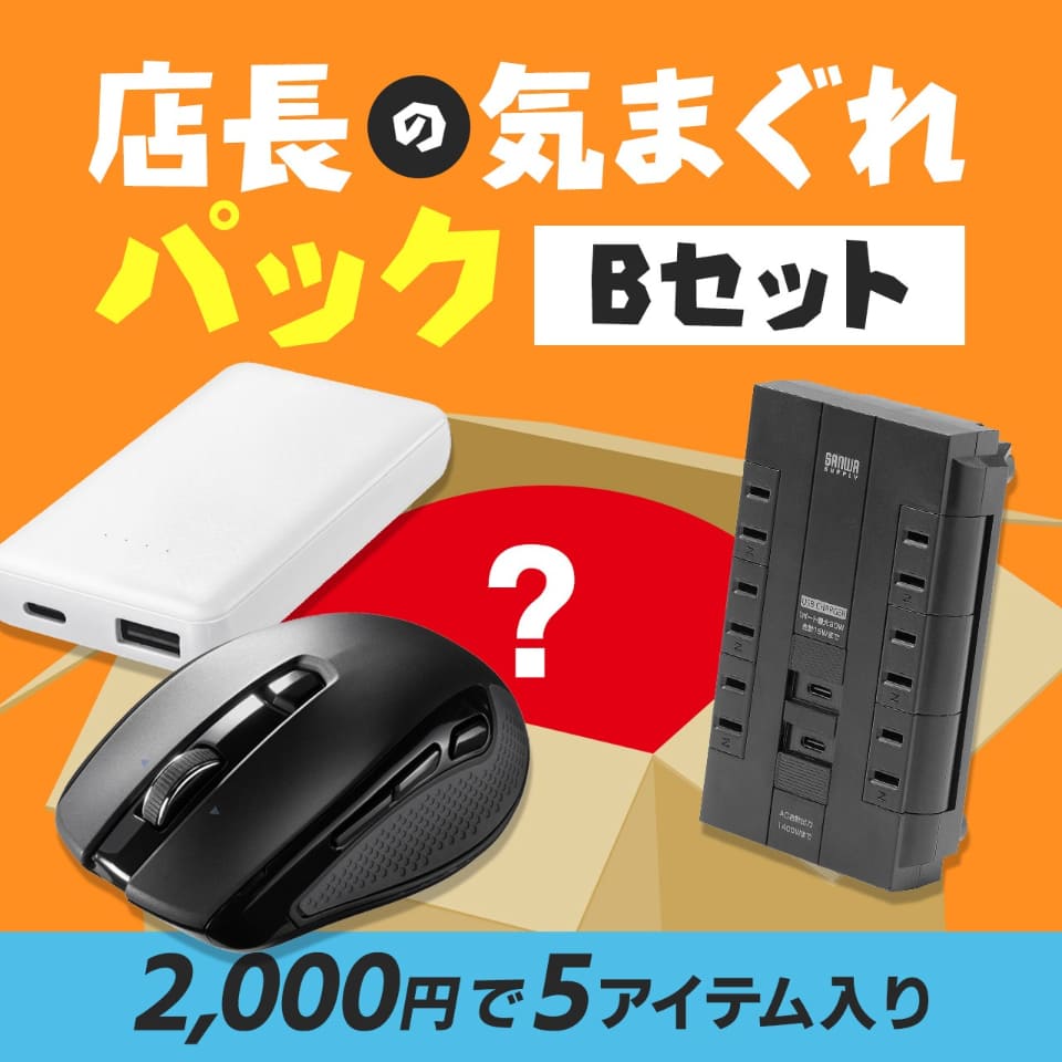 サンワダイレクト「大決算祭」はじまる、セール・福袋・プレゼントなど