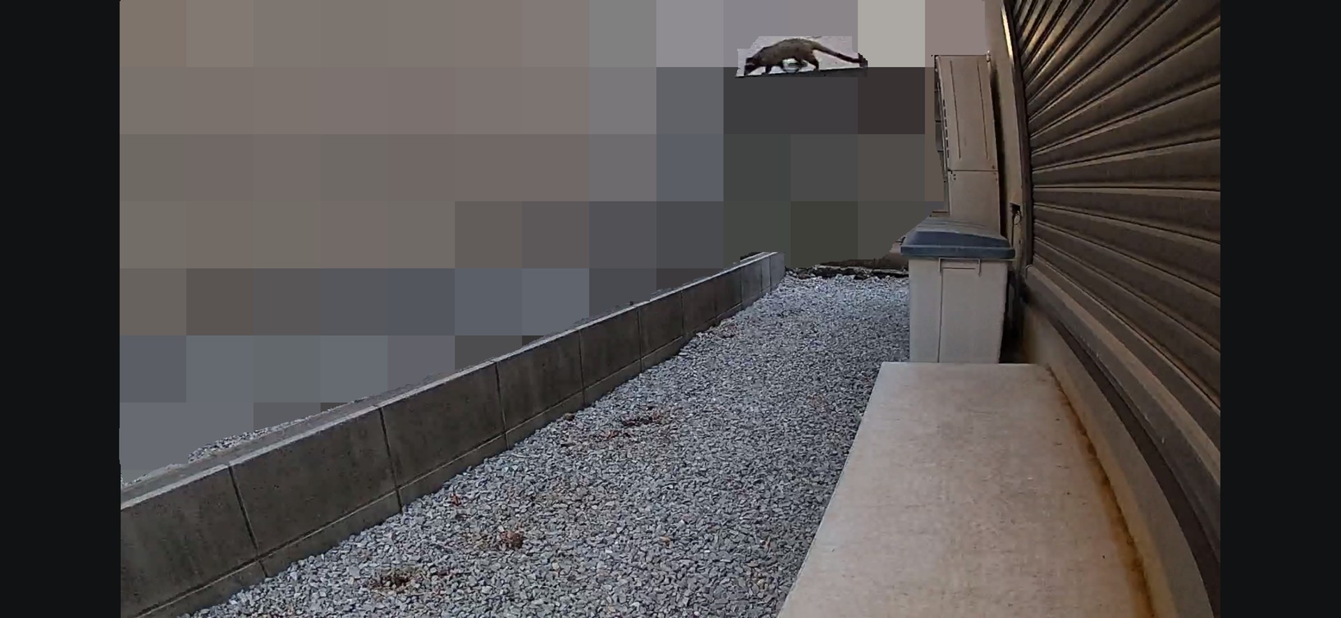 こちらもモザイク多めで恐縮だが、やはり深夜の裏庭の映像。ハクビシンのような動物も「ペット」として認識してくれるので、害獣対策にも役立つ