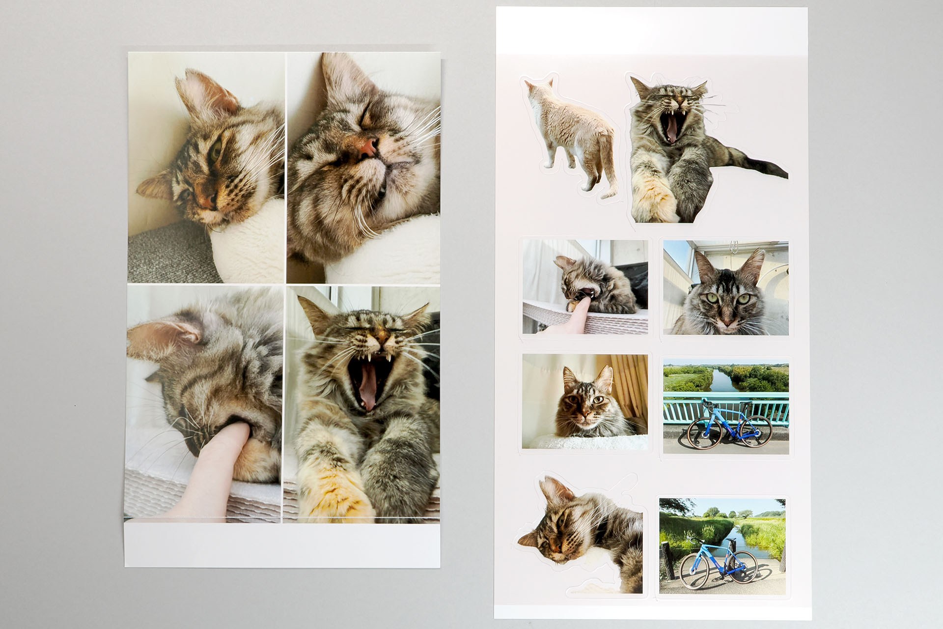 小さいほうが写真用紙で、大きいほうがステッカー用紙。それぞれ余白を除いたアスペクト比は、写真用紙が3:2で35mmフィルム/ミラーレスカメラのそれと同じ。ステッカー用紙のアスペクト比は約1.78:1で、16:9ディスプレイ（テレビやPC用ディスプレイなど）とほぼ同じ。