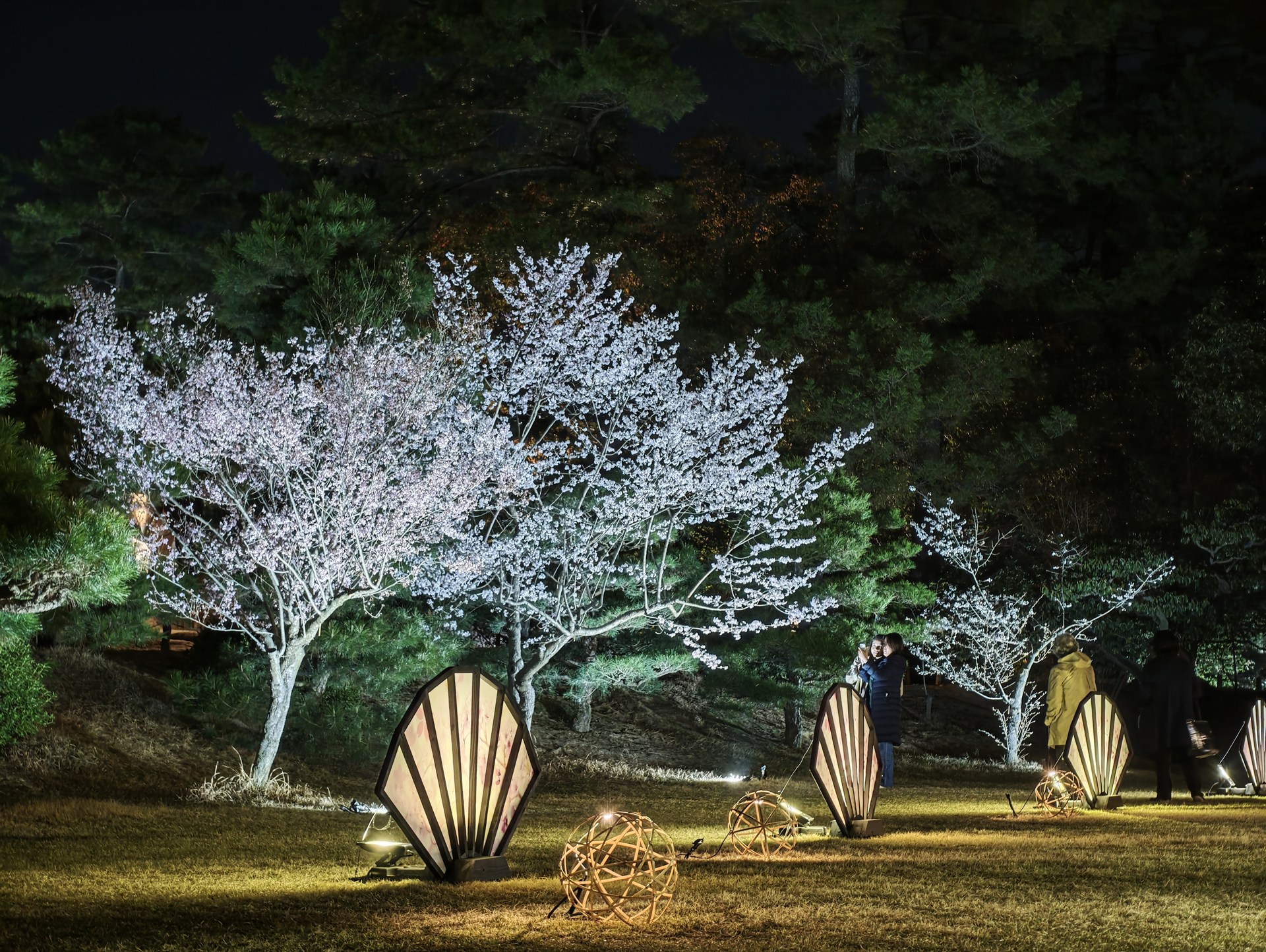 ちょっと派手めですが、夜景がキレイに手軽に撮れるのはかなり気に入っています