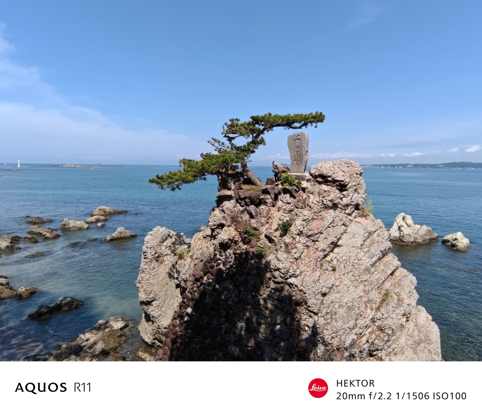 標準（1倍）で撮影