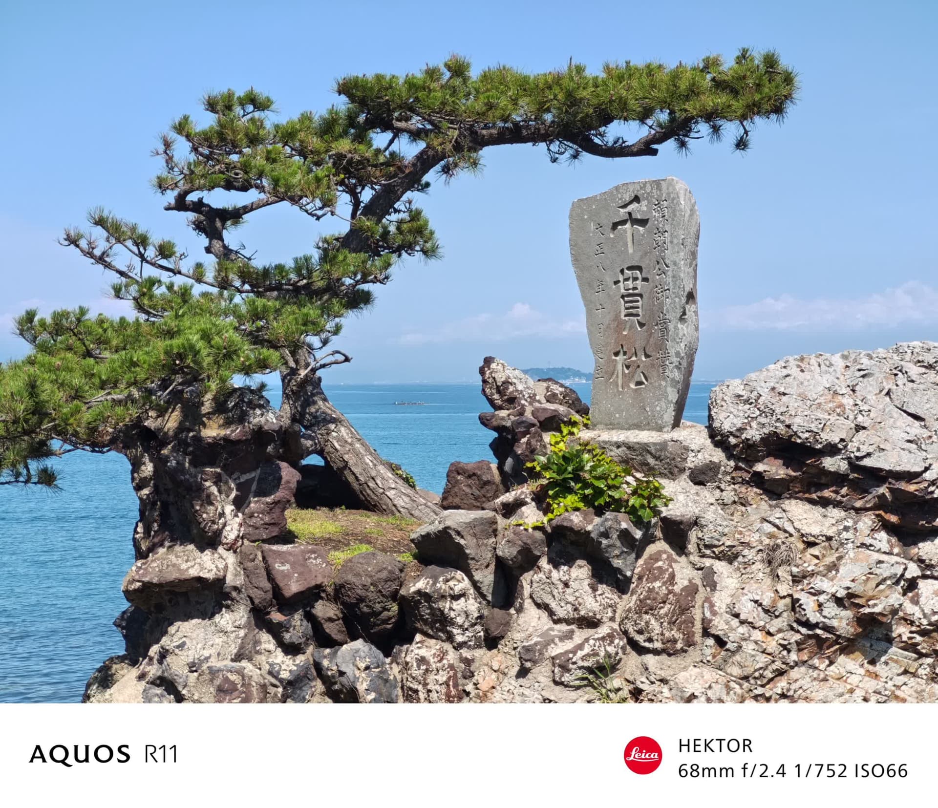 望遠（2.9倍）で撮影